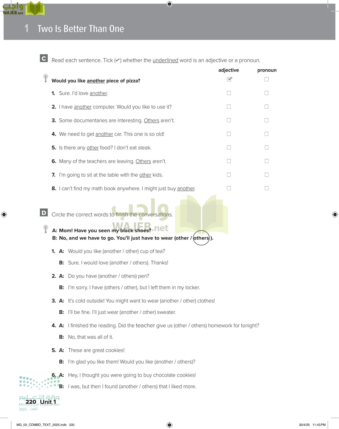 MEGA GOAL 3 page-225