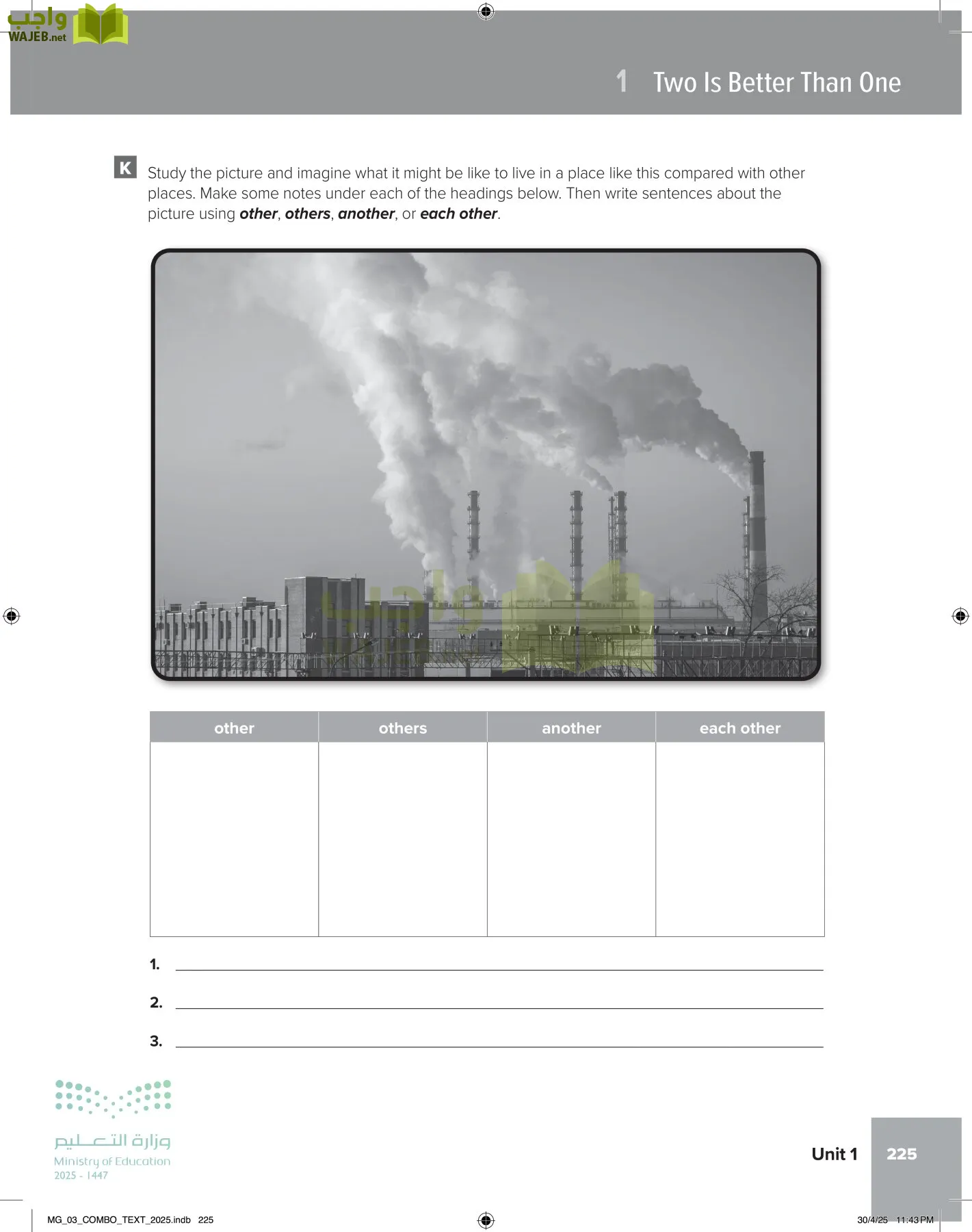 MEGA GOAL 3 page-230