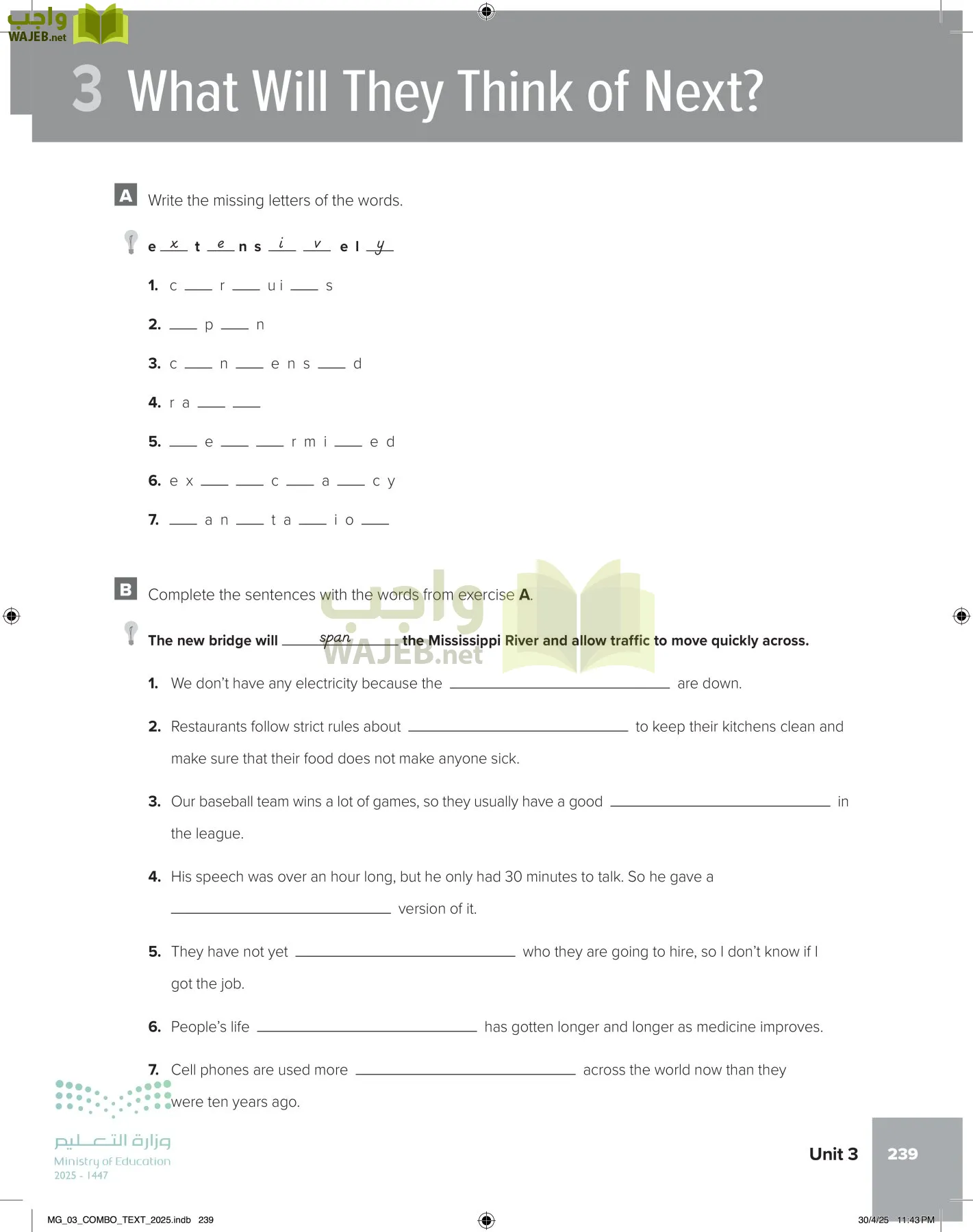 MEGA GOAL 3 page-244