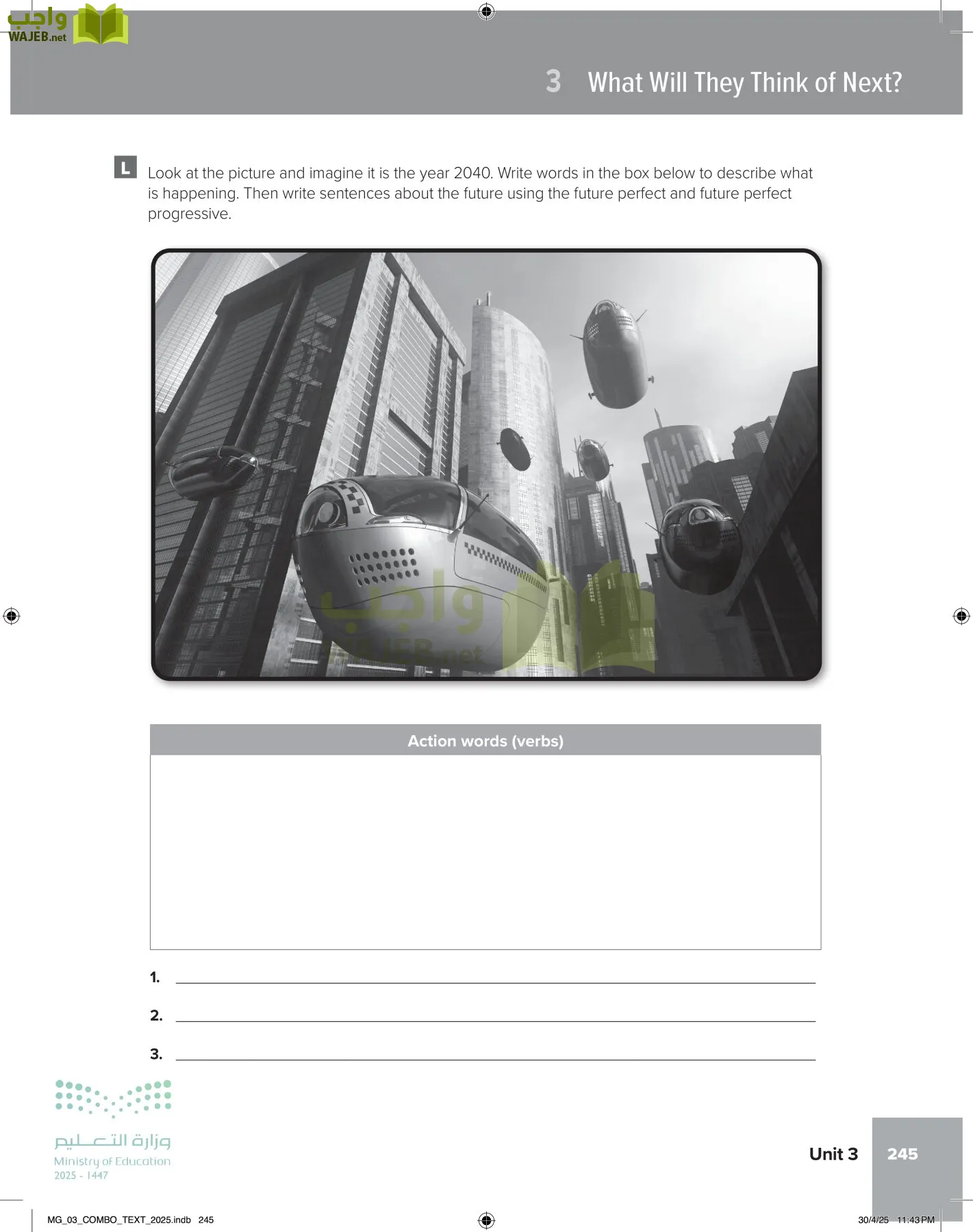 MEGA GOAL 3 page-250