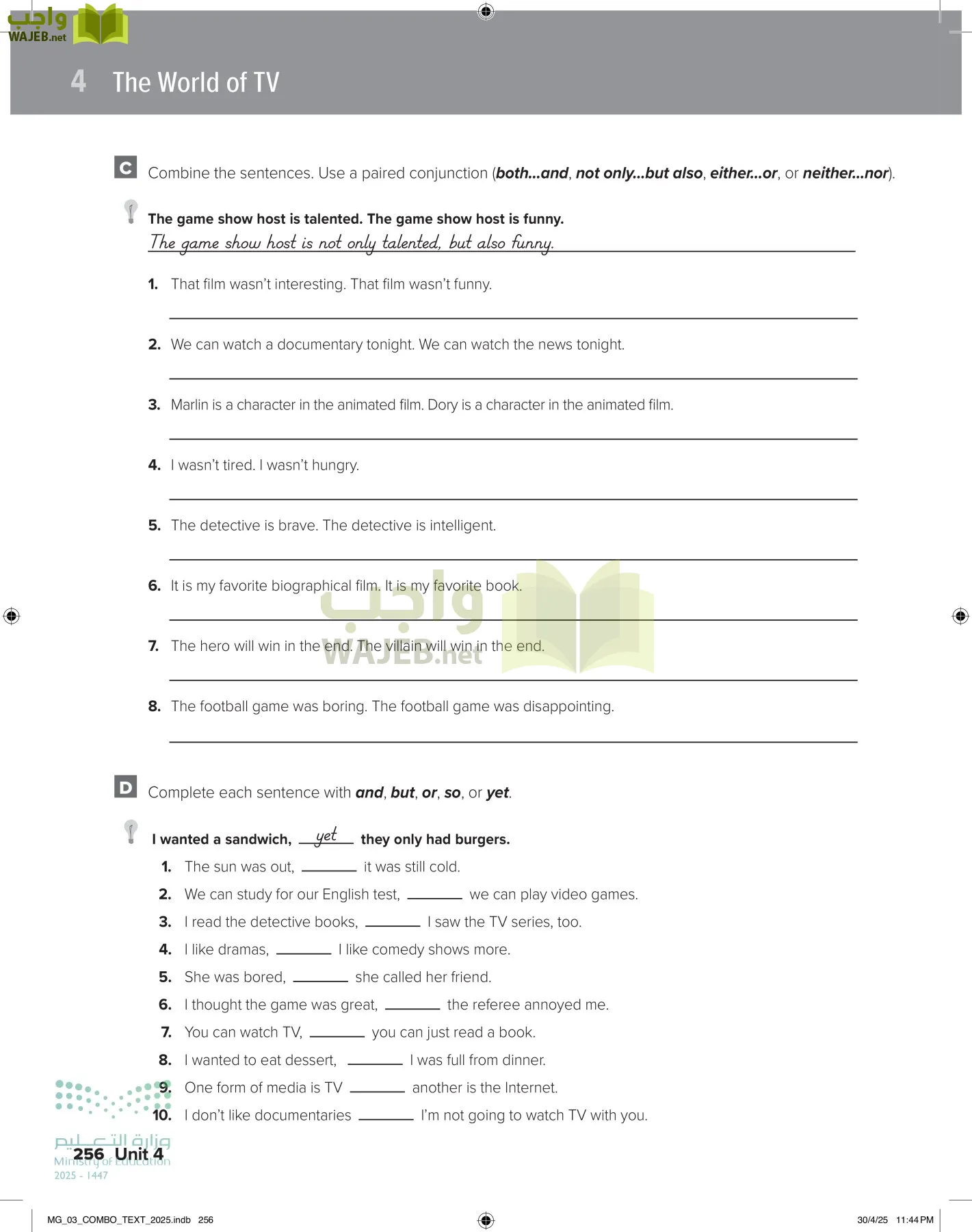 MEGA GOAL 3 page-261