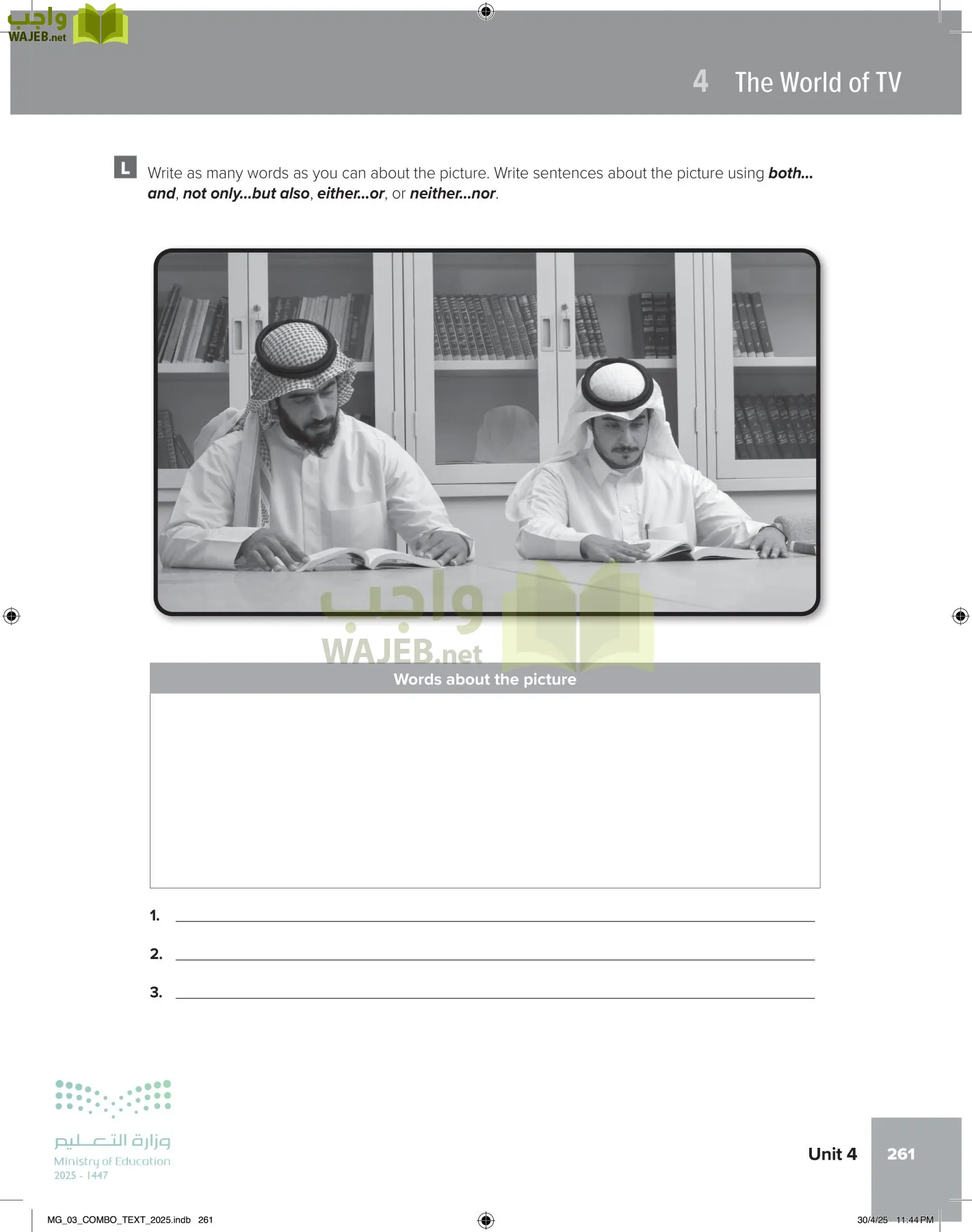 MEGA GOAL 3 page-266