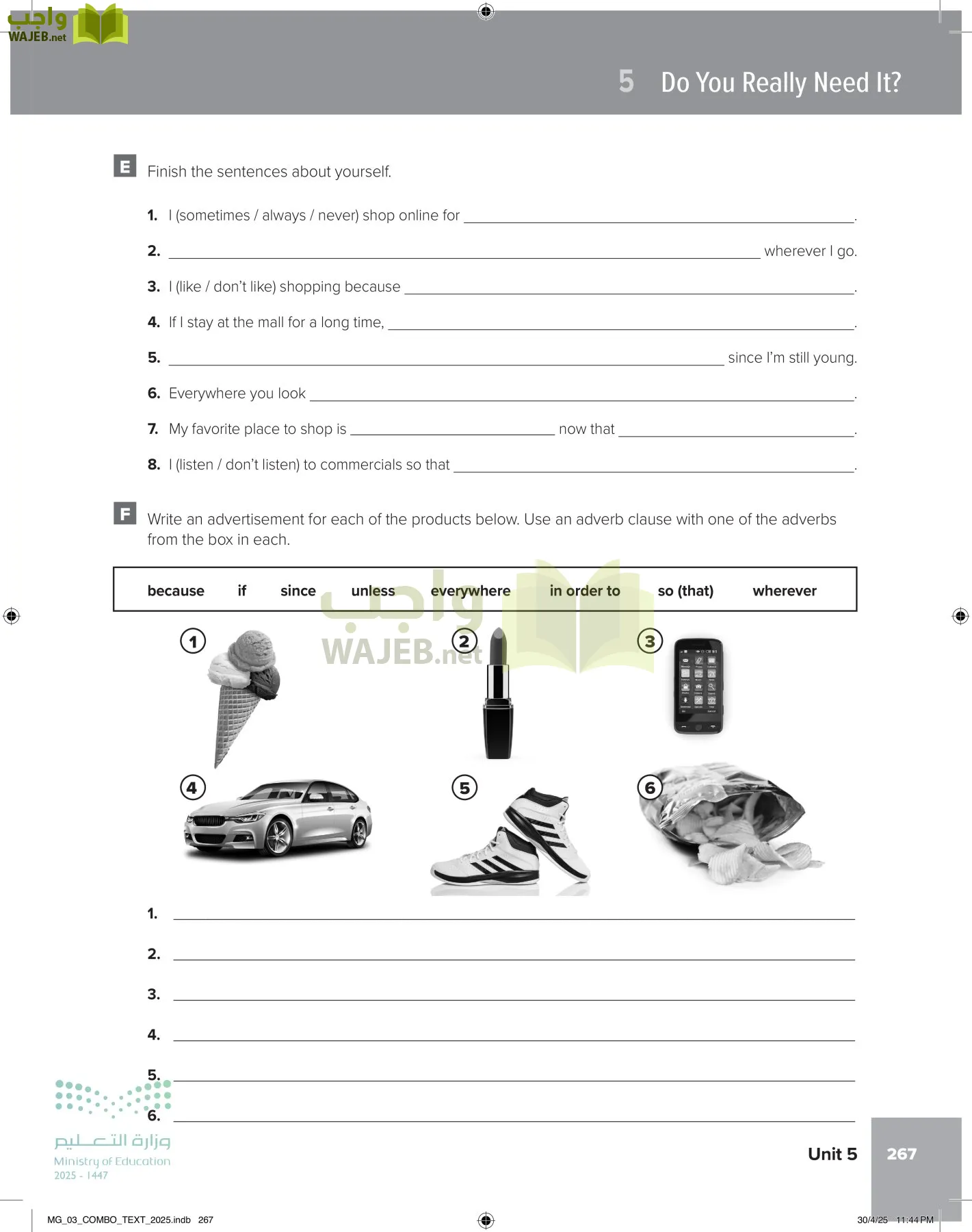 MEGA GOAL 3 page-272