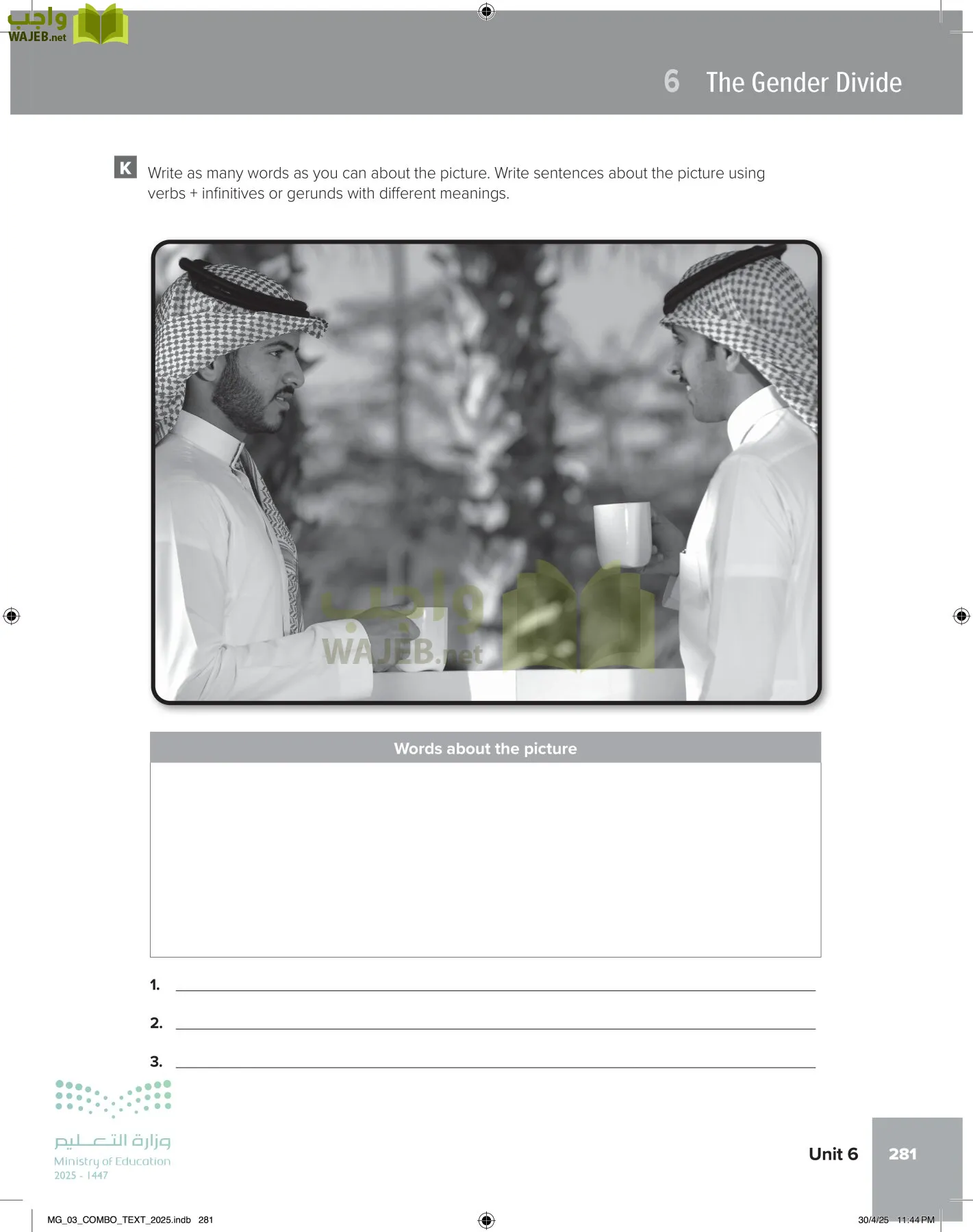 MEGA GOAL 3 page-286