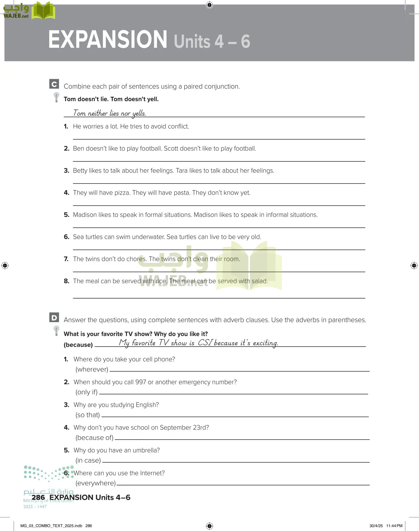 MEGA GOAL 3 page-291