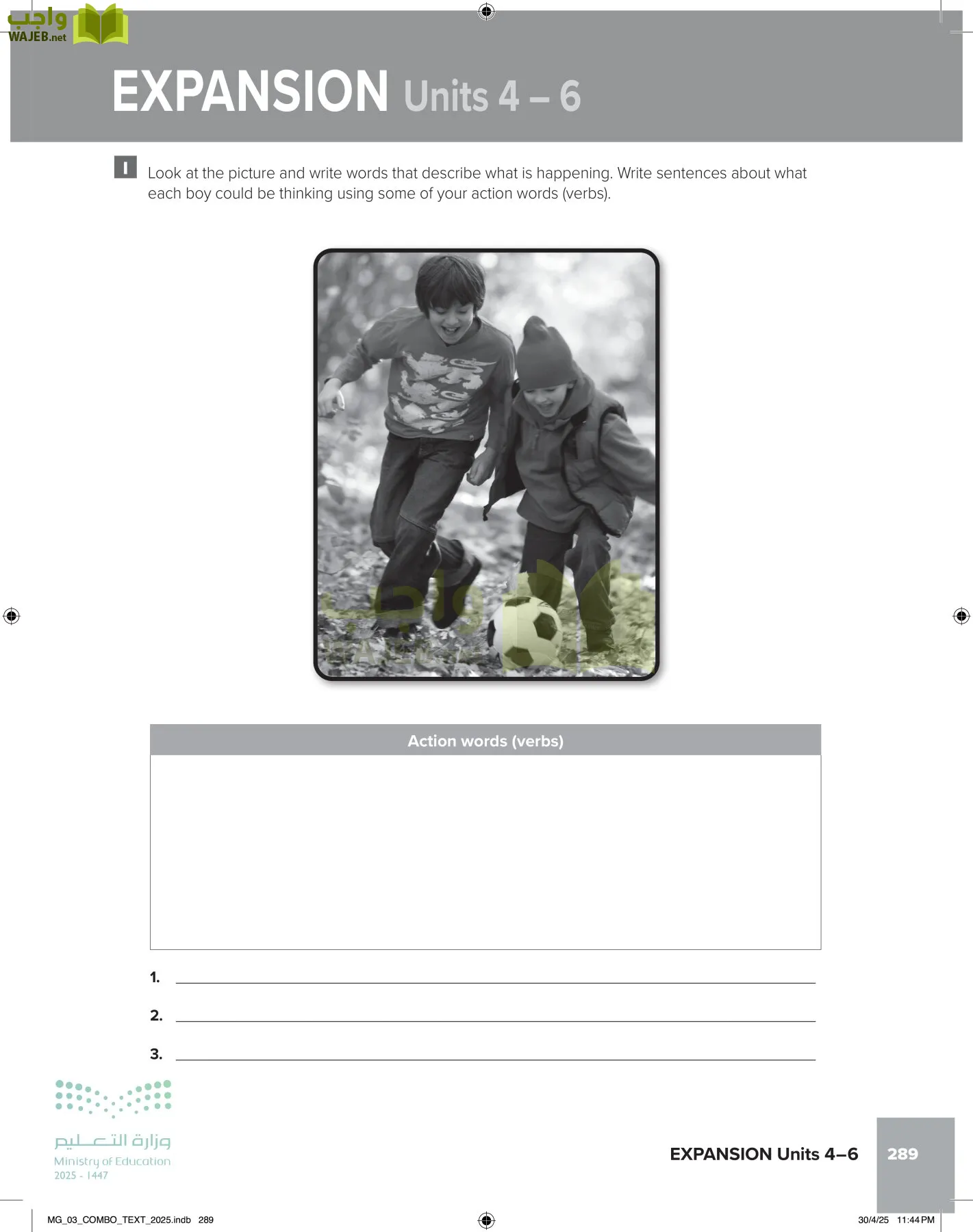 MEGA GOAL 3 page-294