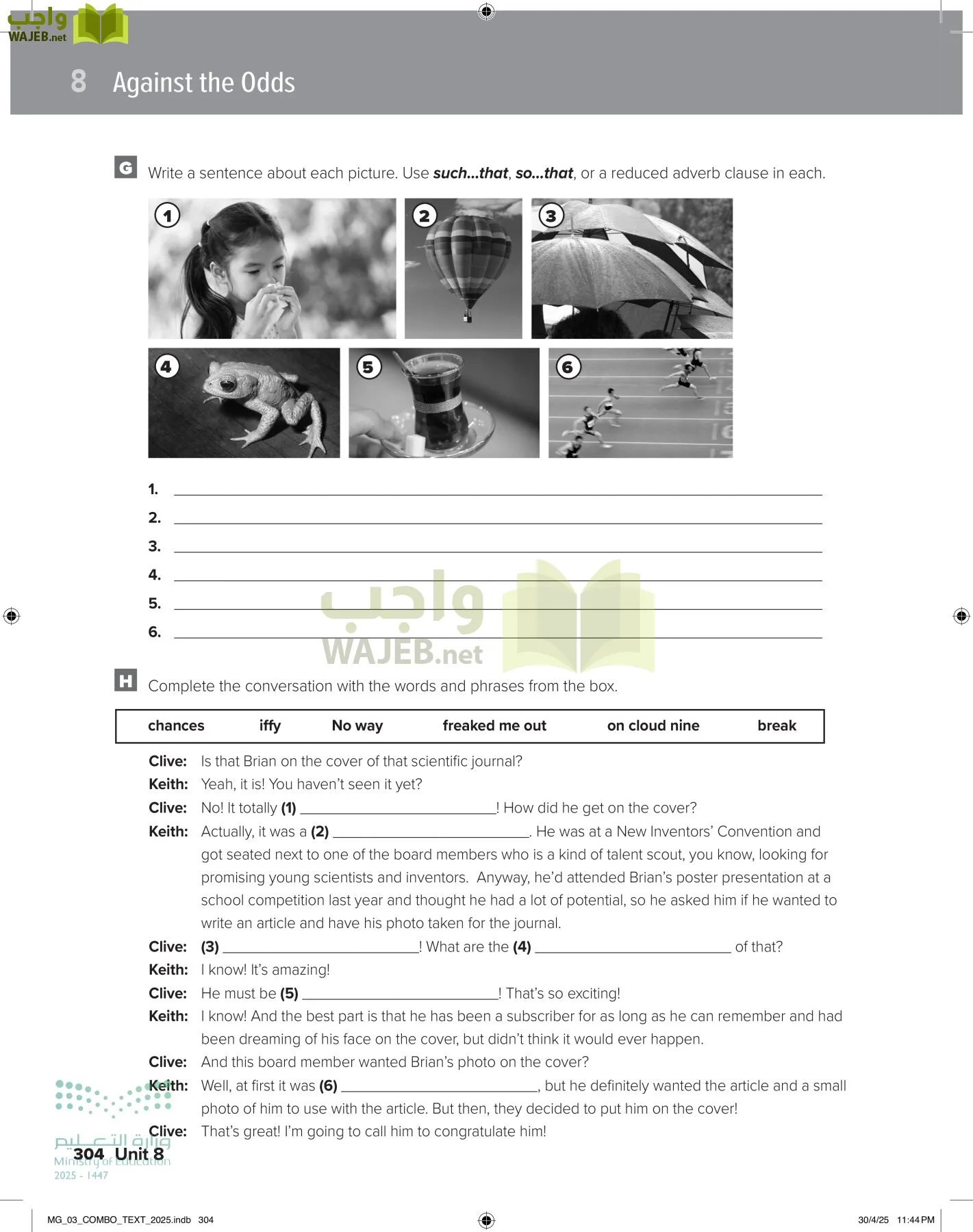 MEGA GOAL 3 page-309