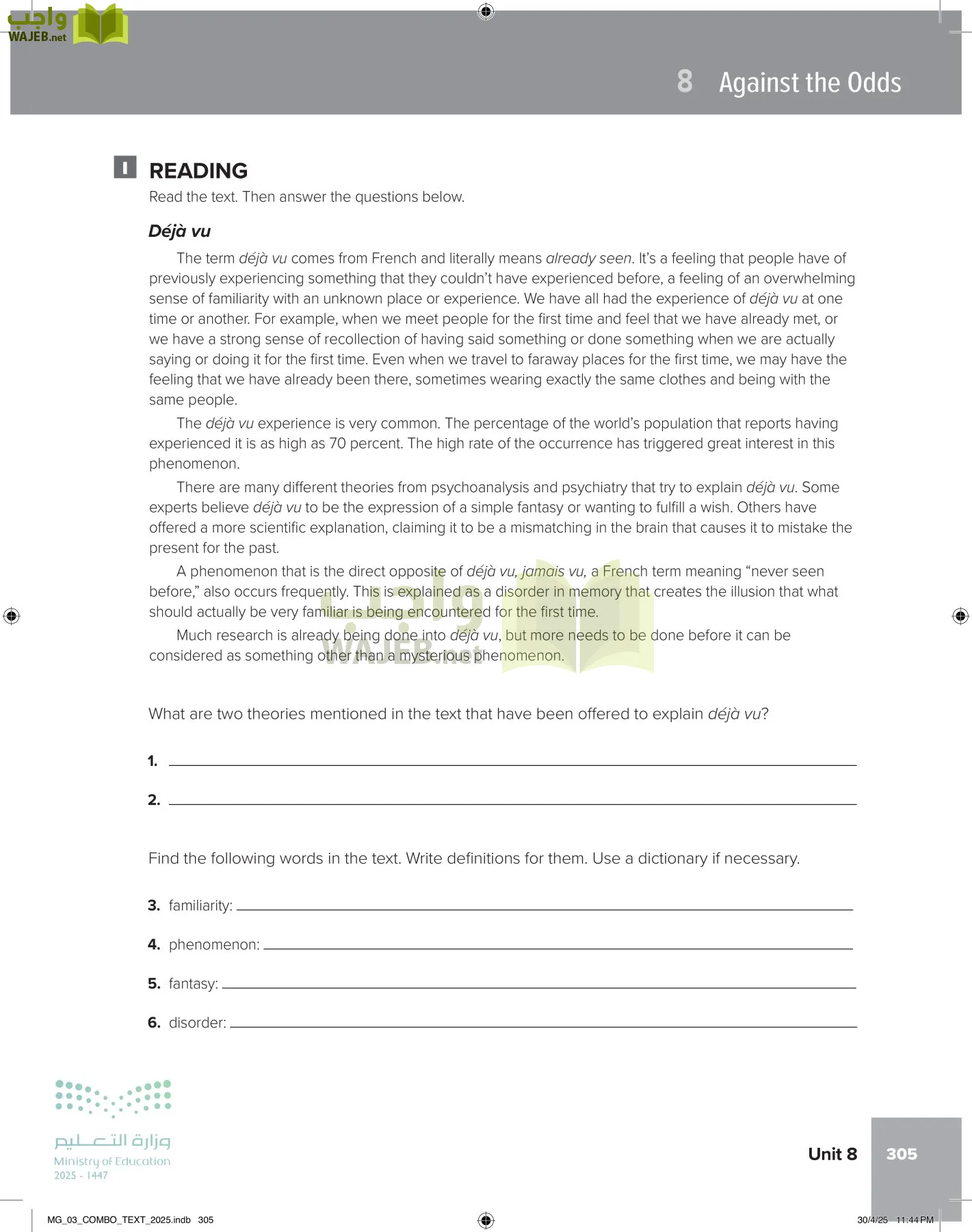 MEGA GOAL 3 page-310