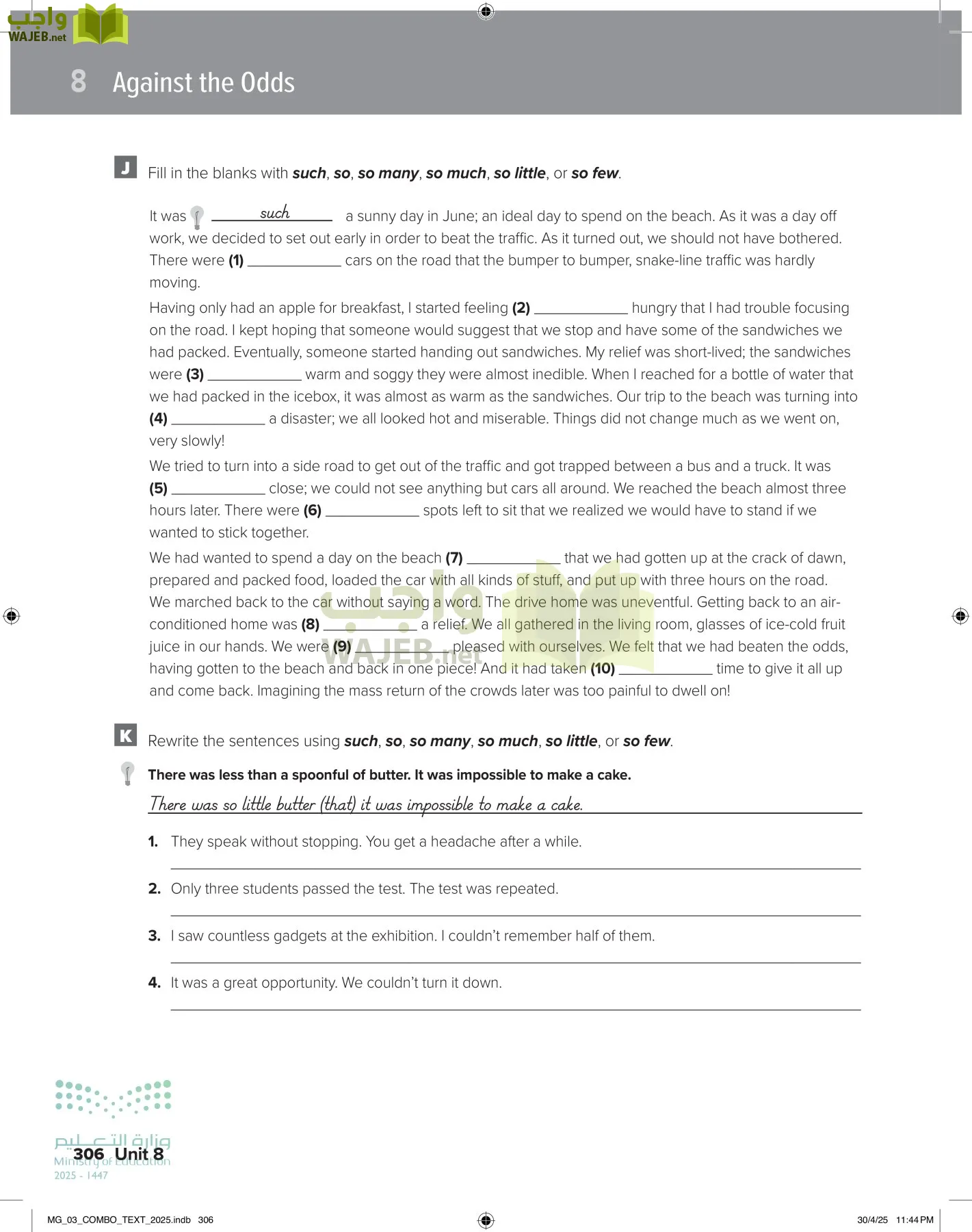 MEGA GOAL 3 page-311