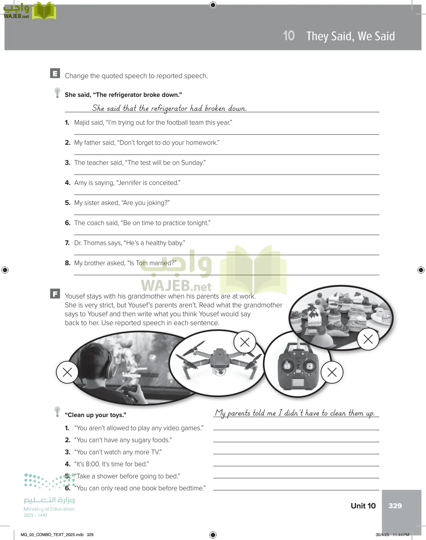 MEGA GOAL 3 page-334