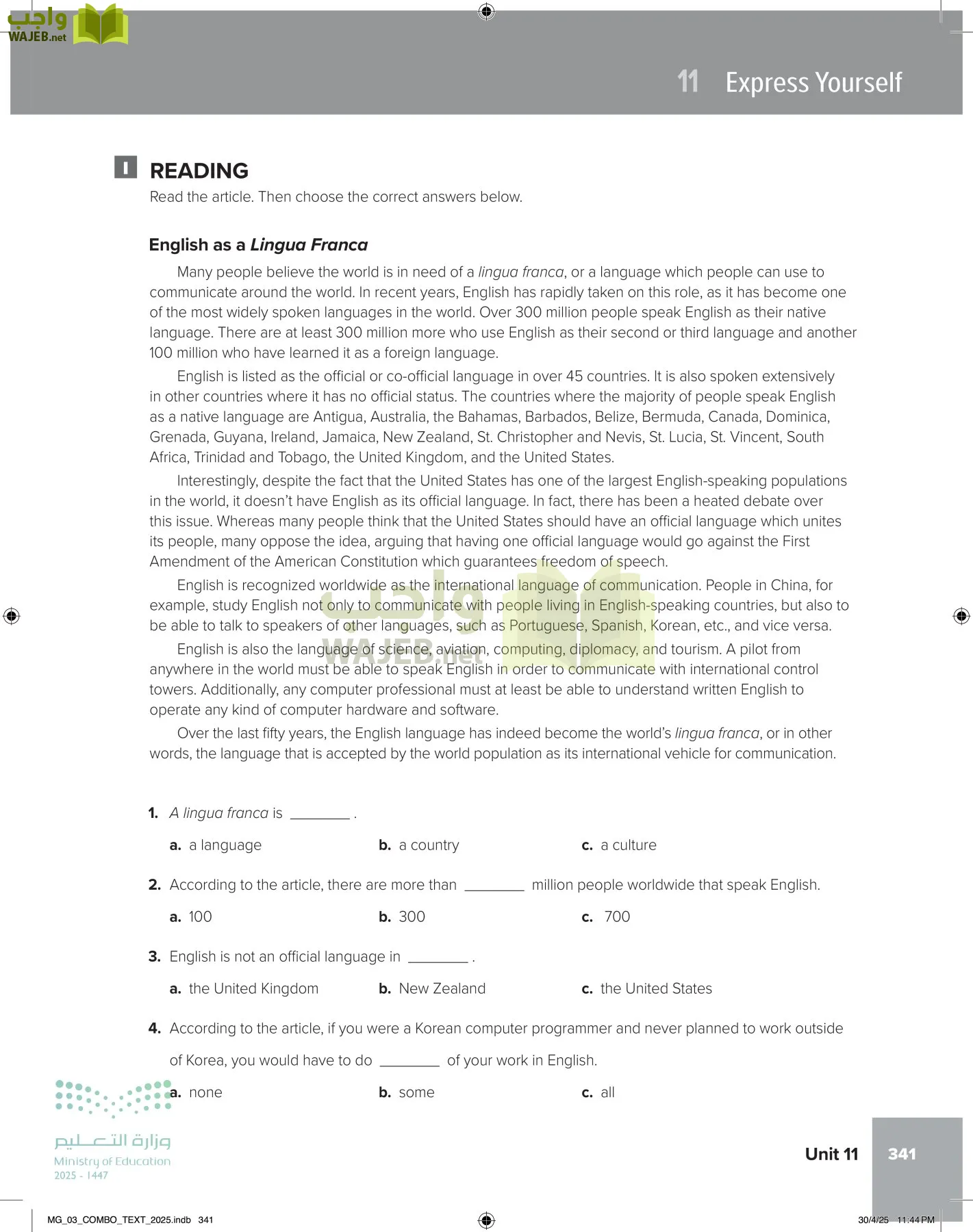 MEGA GOAL 3 page-346