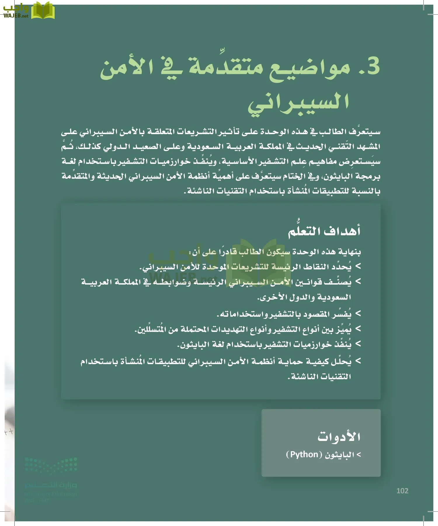 الأمن السيبراني page-101