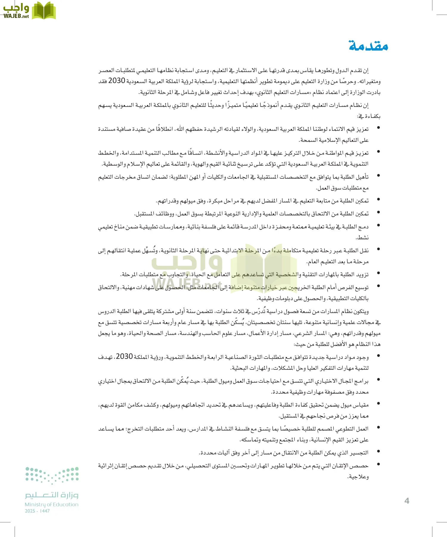 الأمن السيبراني page-3