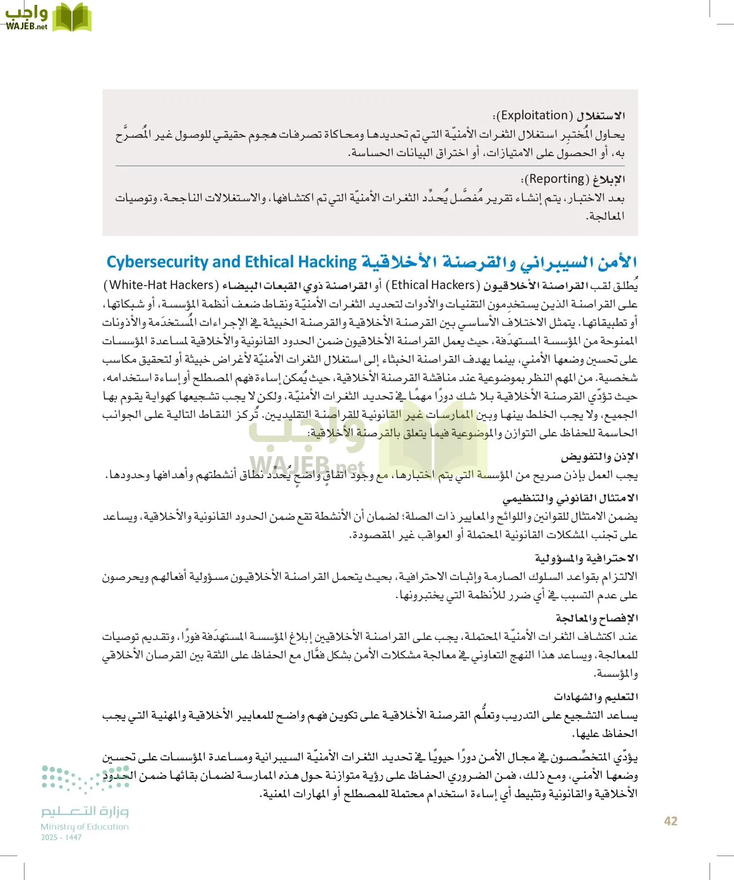 الأمن السيبراني page-41