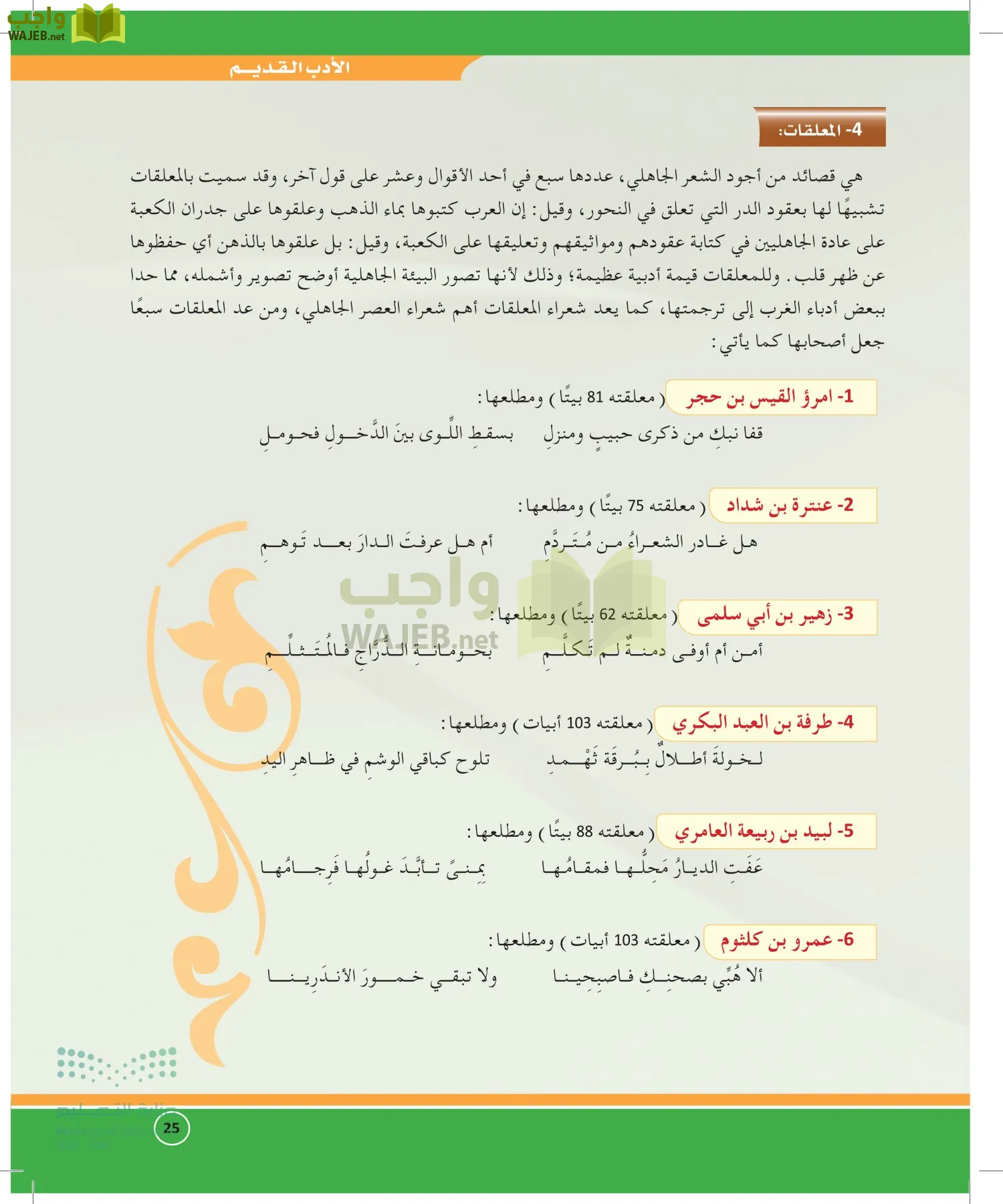 الدراسات الأدبية page-24