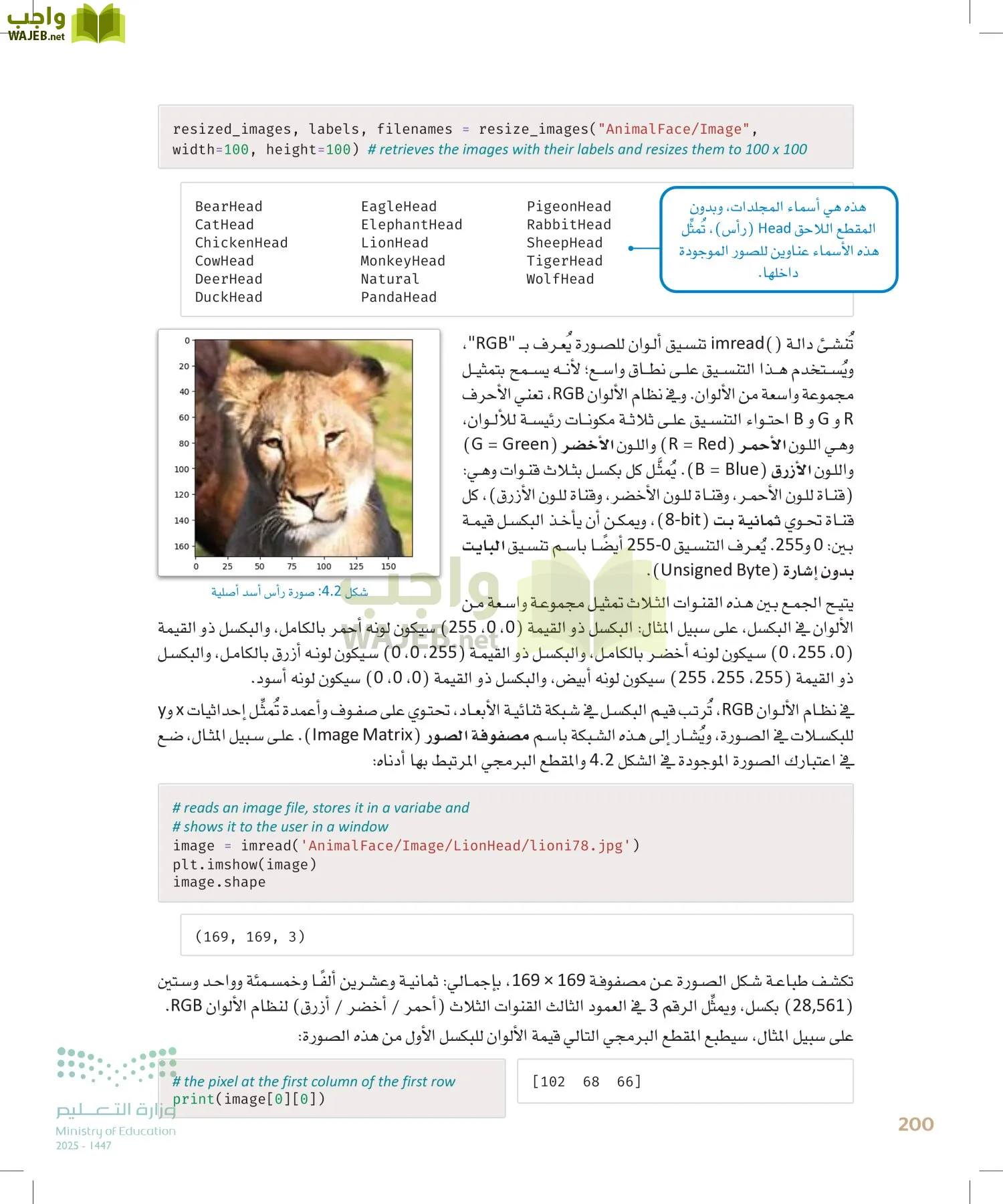 الذكاء الاصطناعي page-199