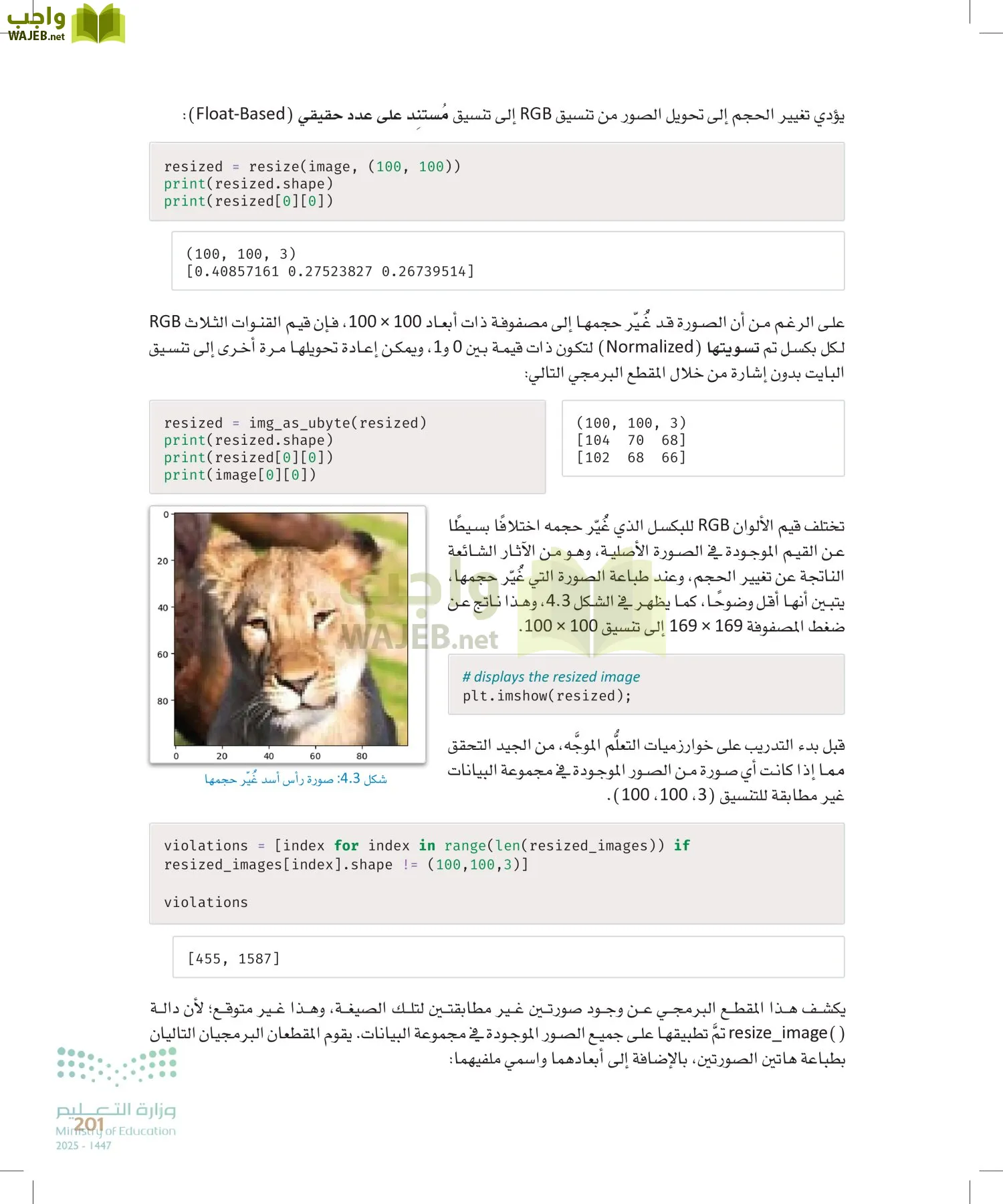 الذكاء الاصطناعي page-200