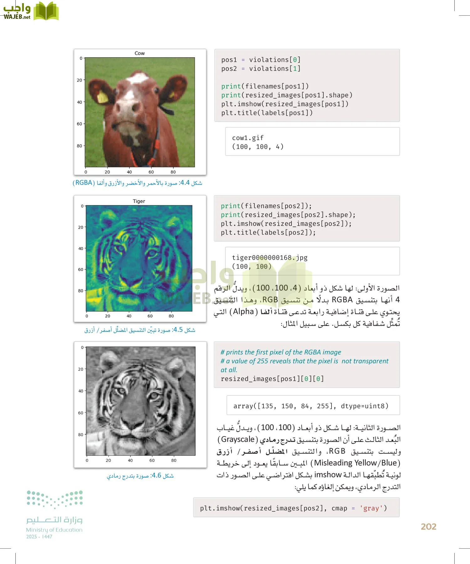 الذكاء الاصطناعي page-201