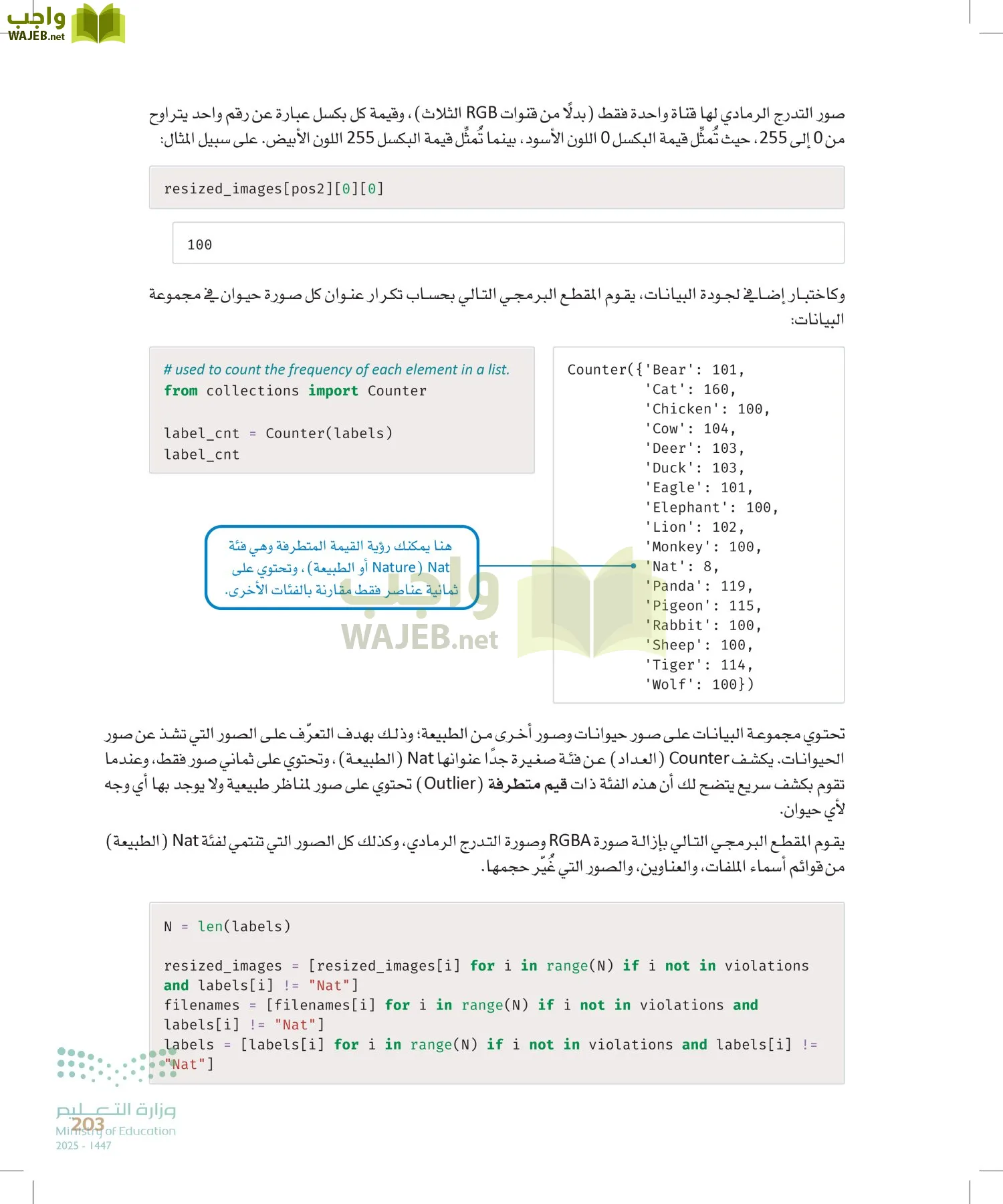 الذكاء الاصطناعي page-202