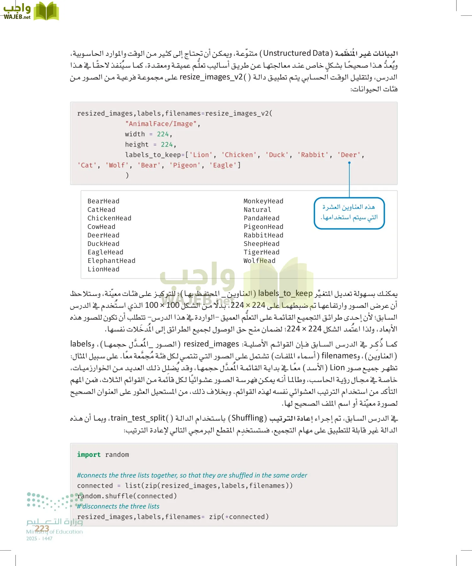 الذكاء الاصطناعي page-222