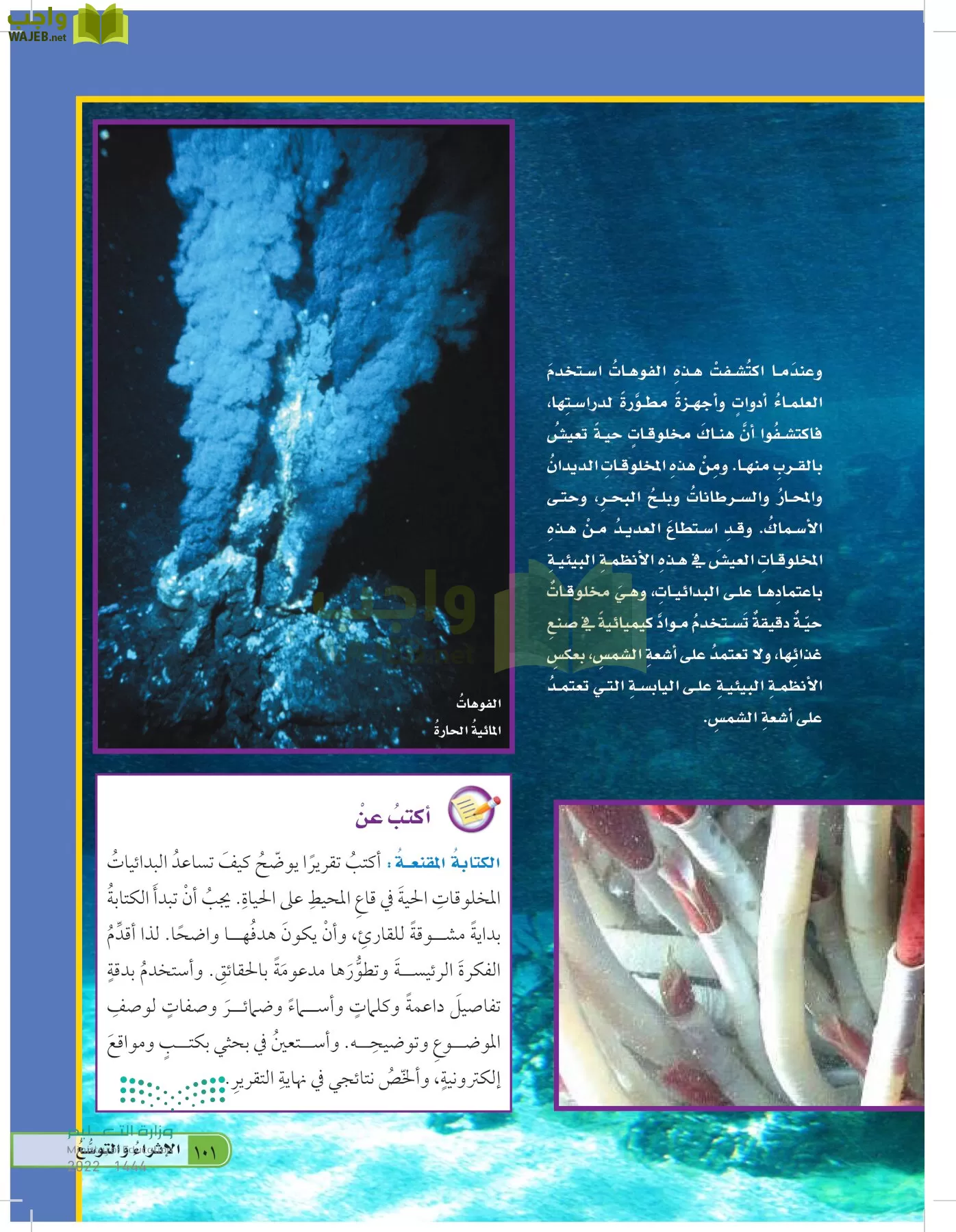 العلوم page-100