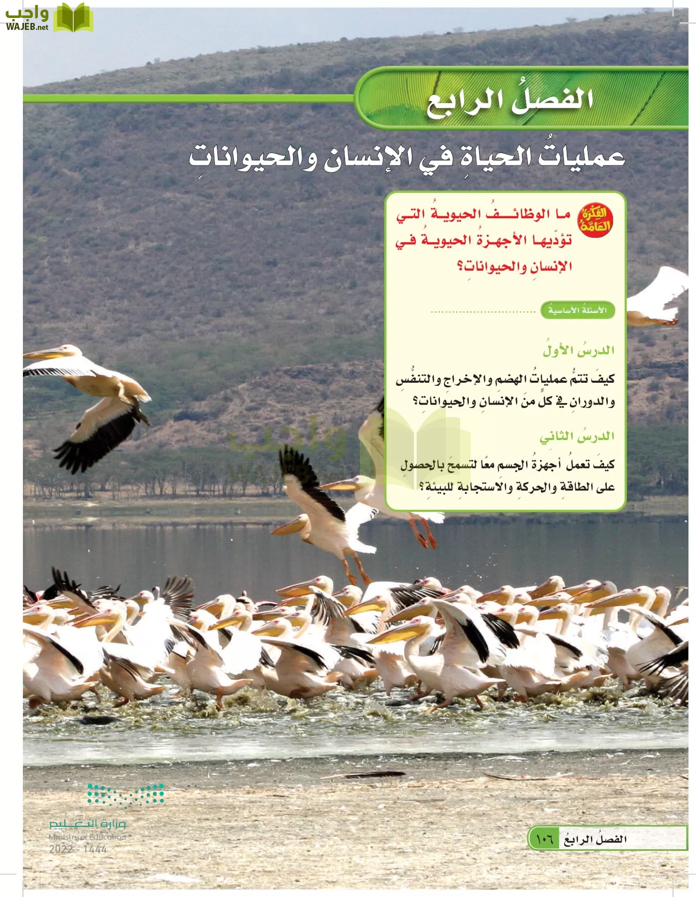 العلوم page-105