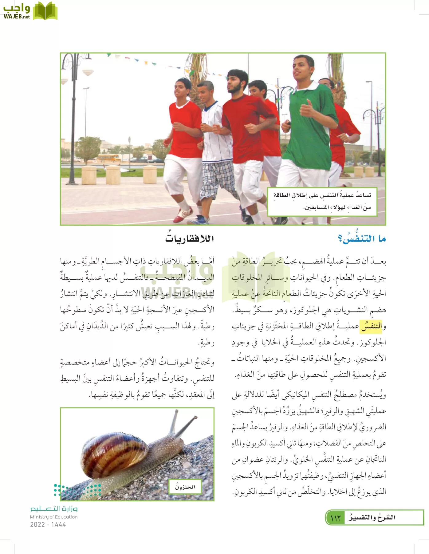 العلوم page-111