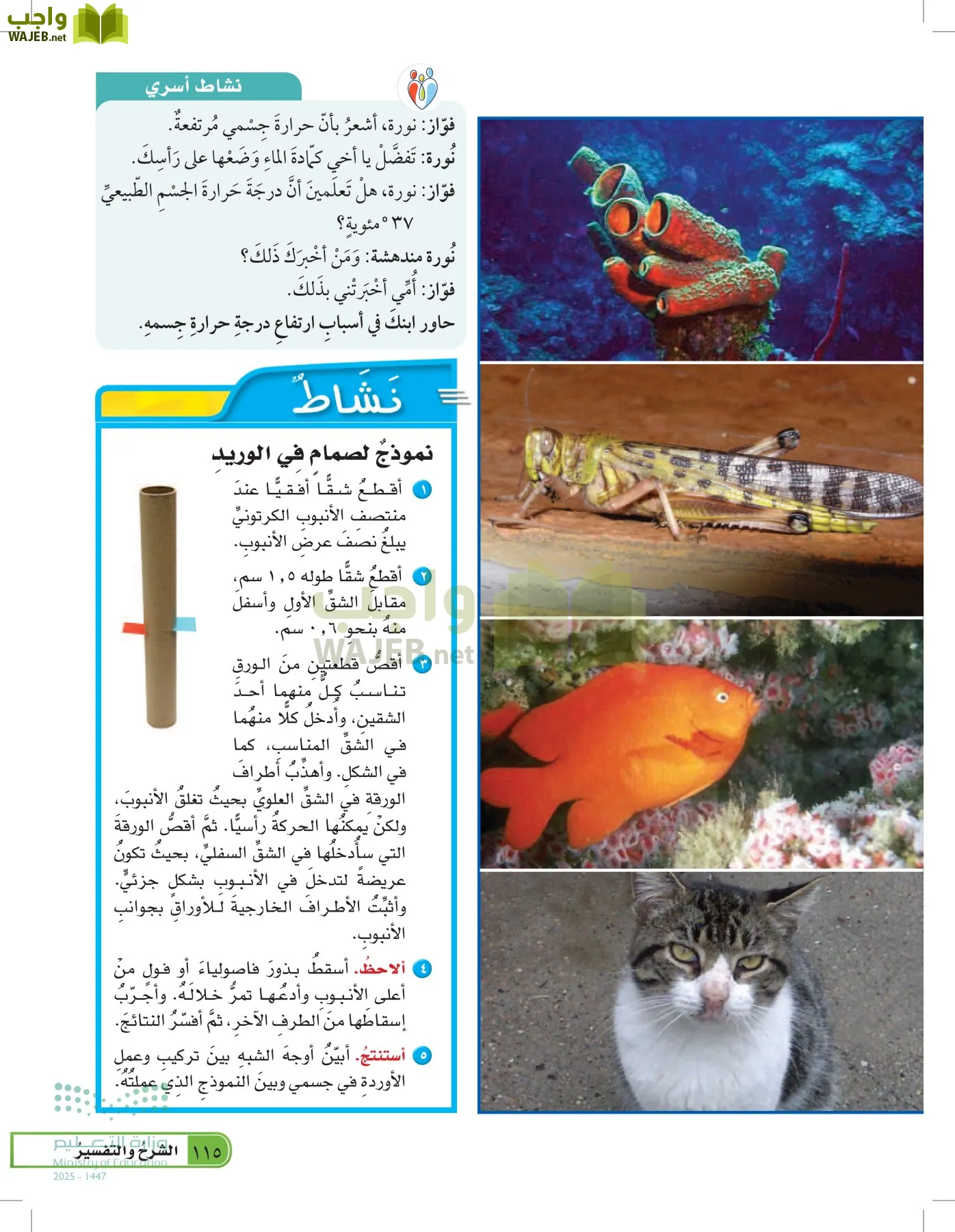 العلوم page-114