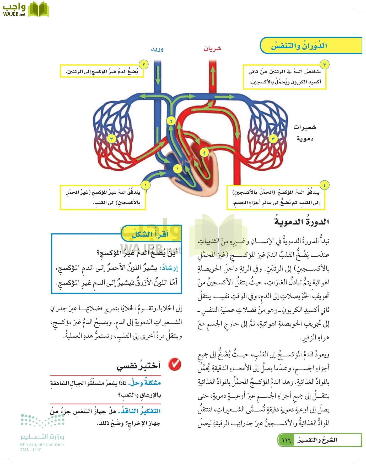 العلوم page-115