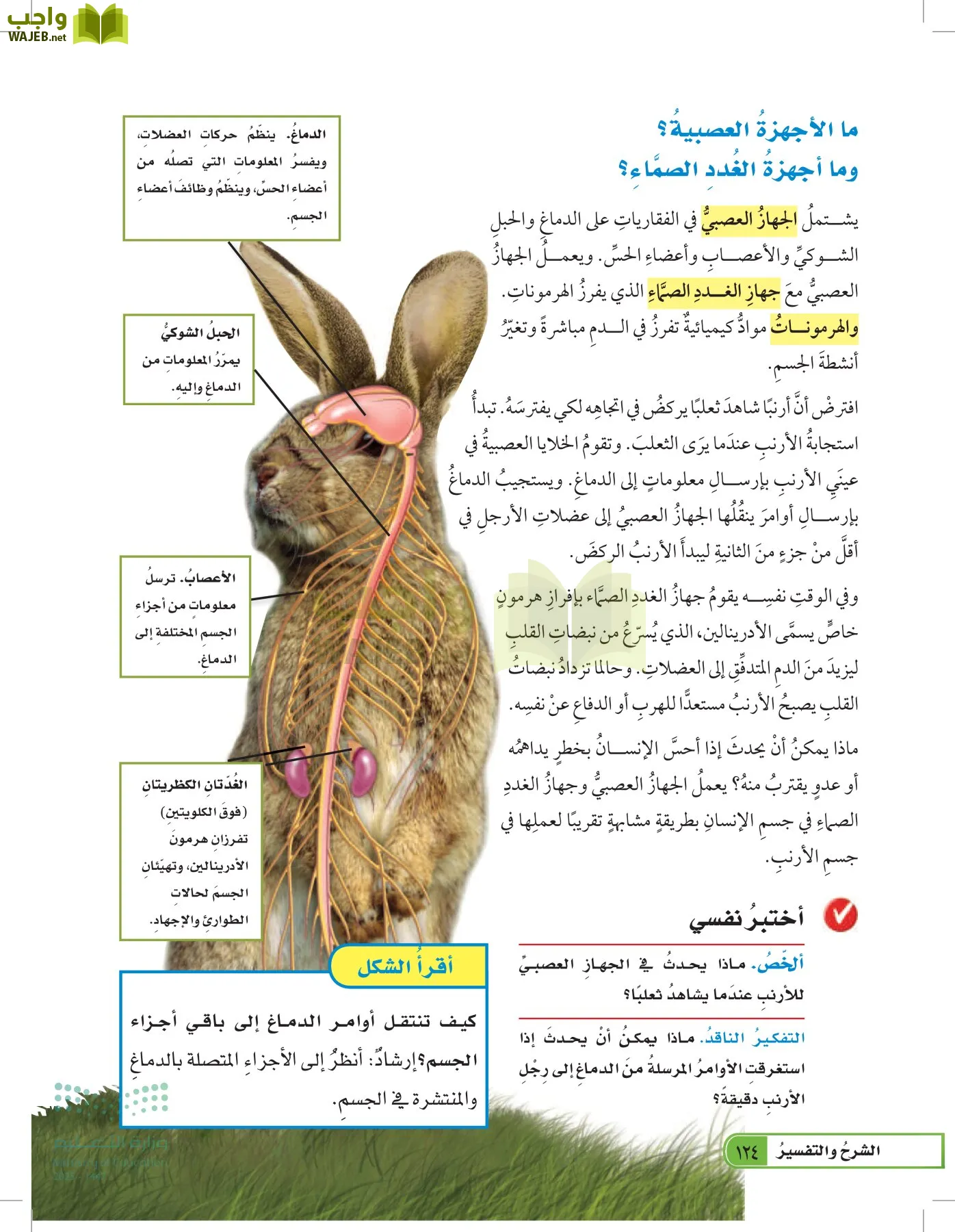 العلوم page-123