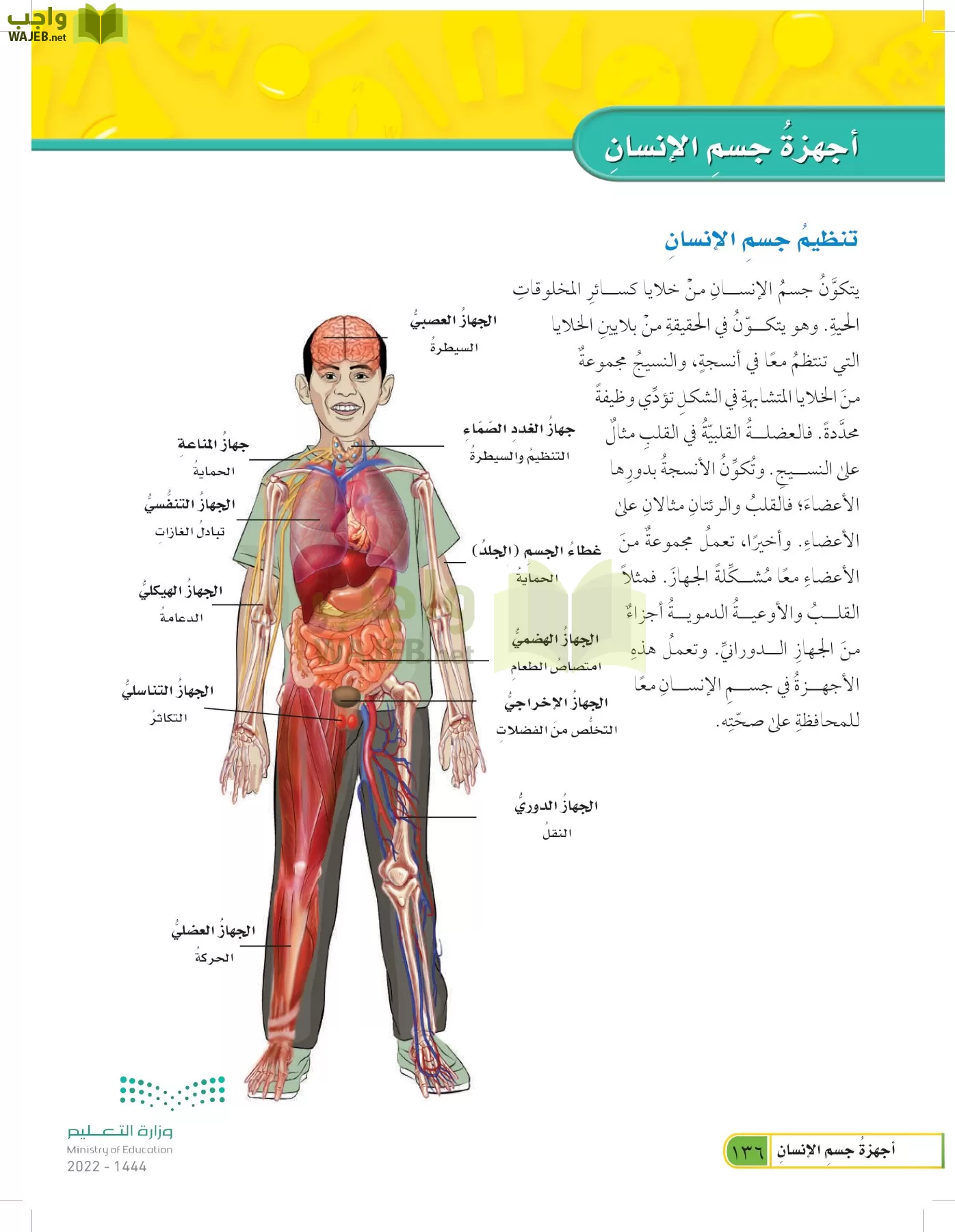 العلوم page-135