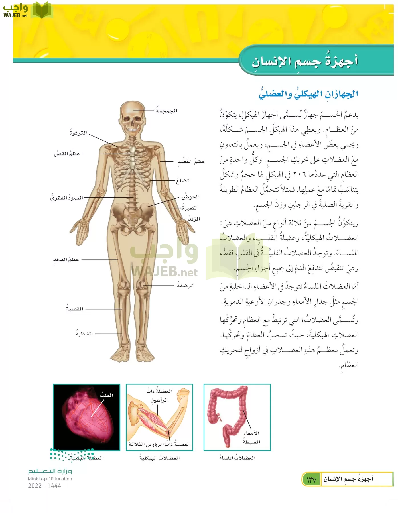 العلوم page-136