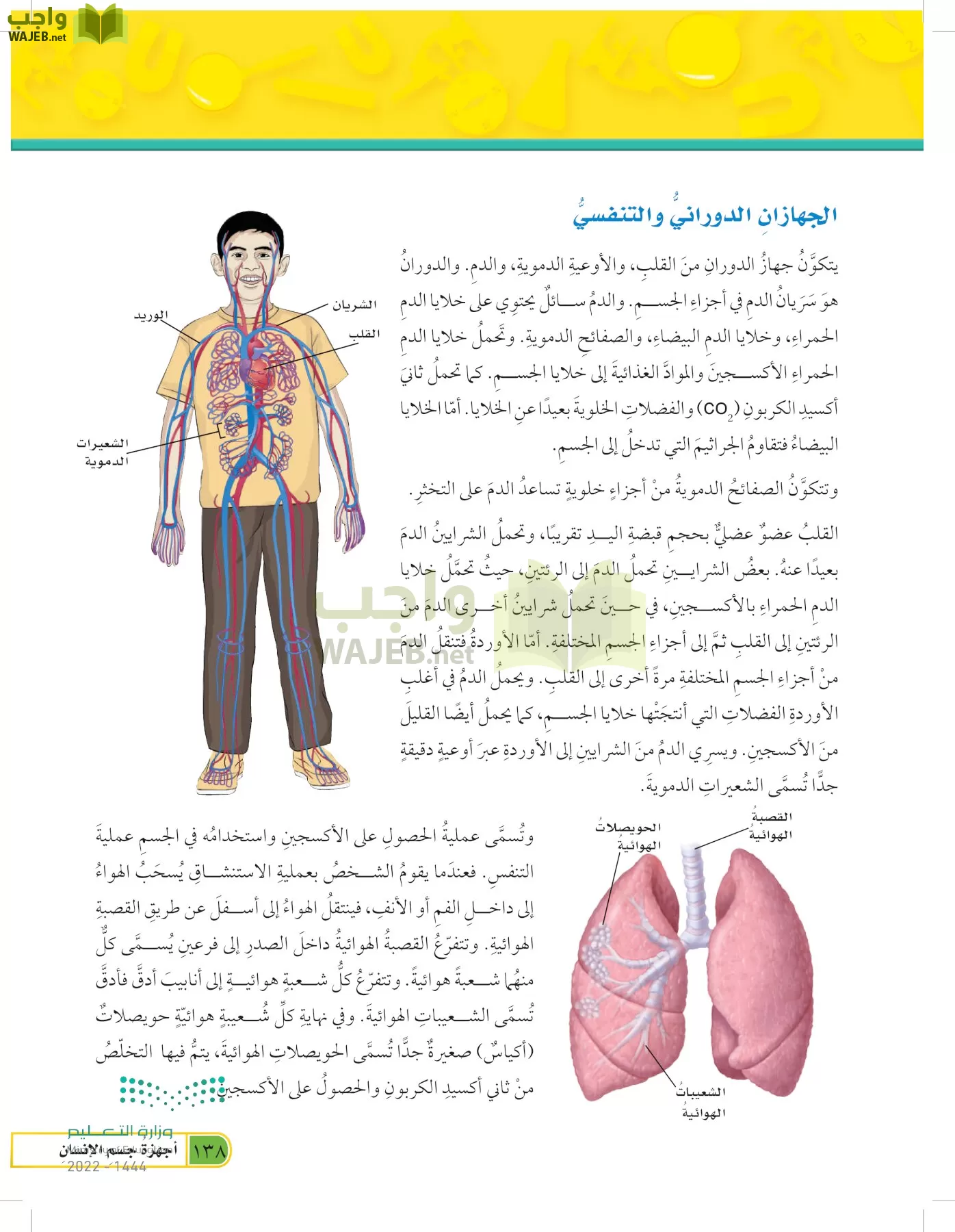 العلوم page-137
