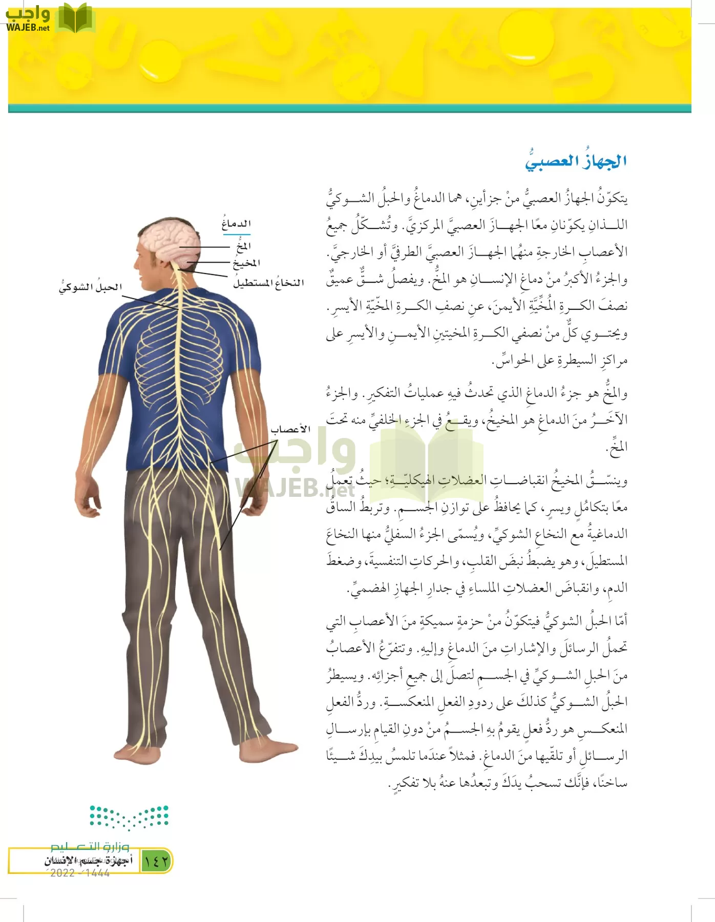 العلوم page-141