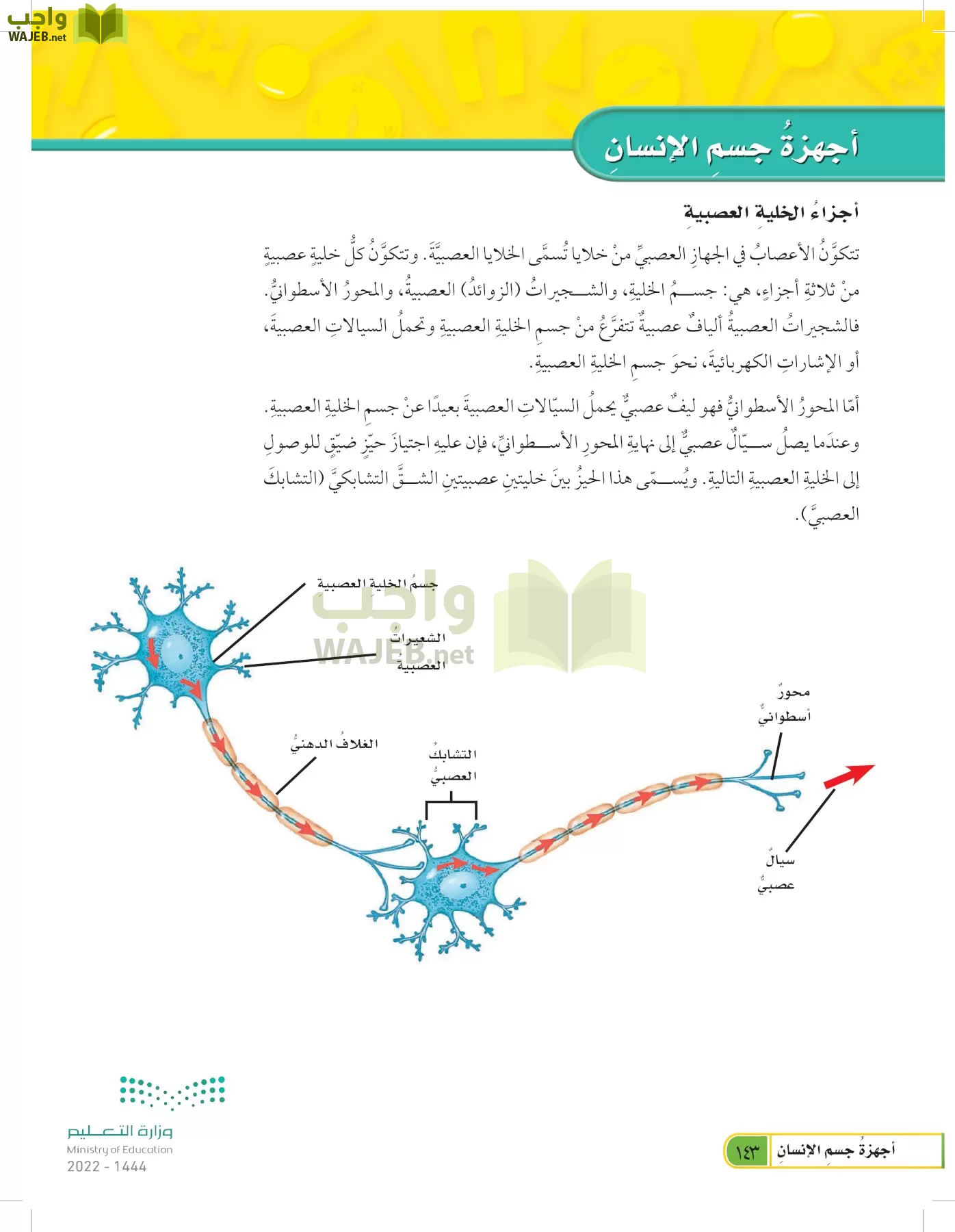 العلوم page-142