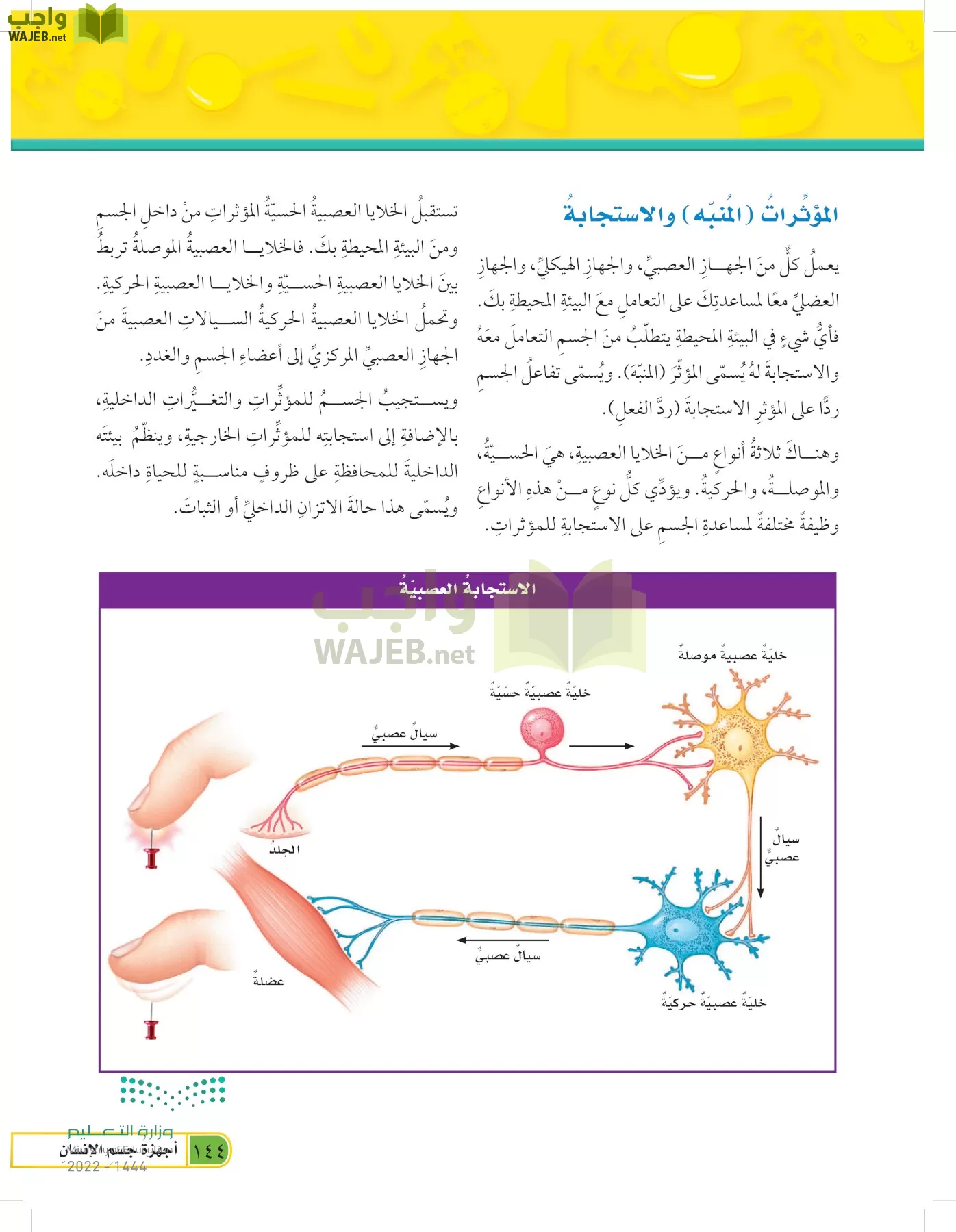 العلوم page-143