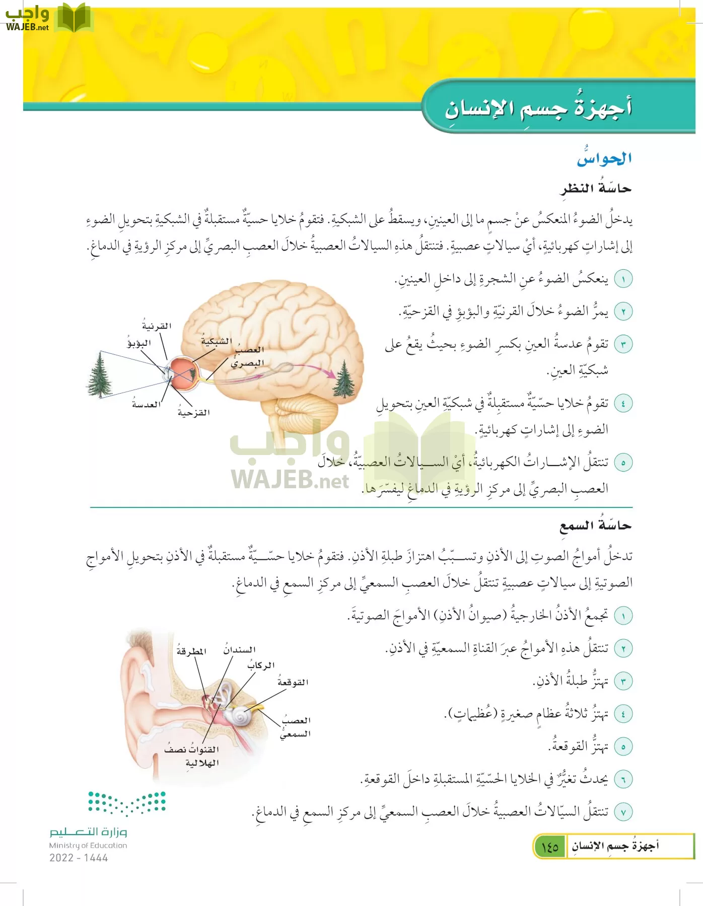 العلوم page-144