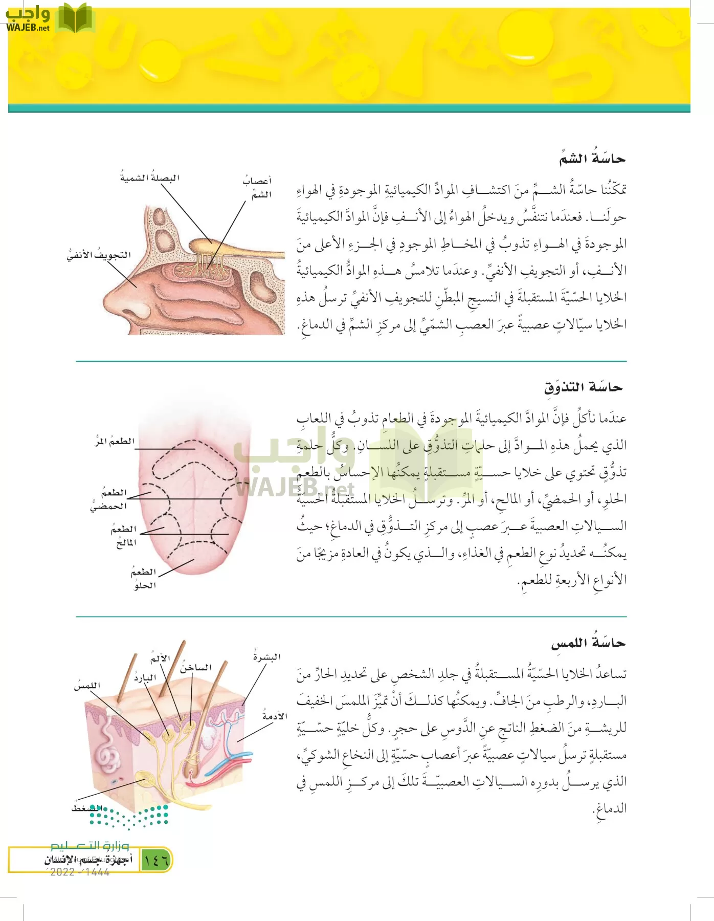 العلوم page-145