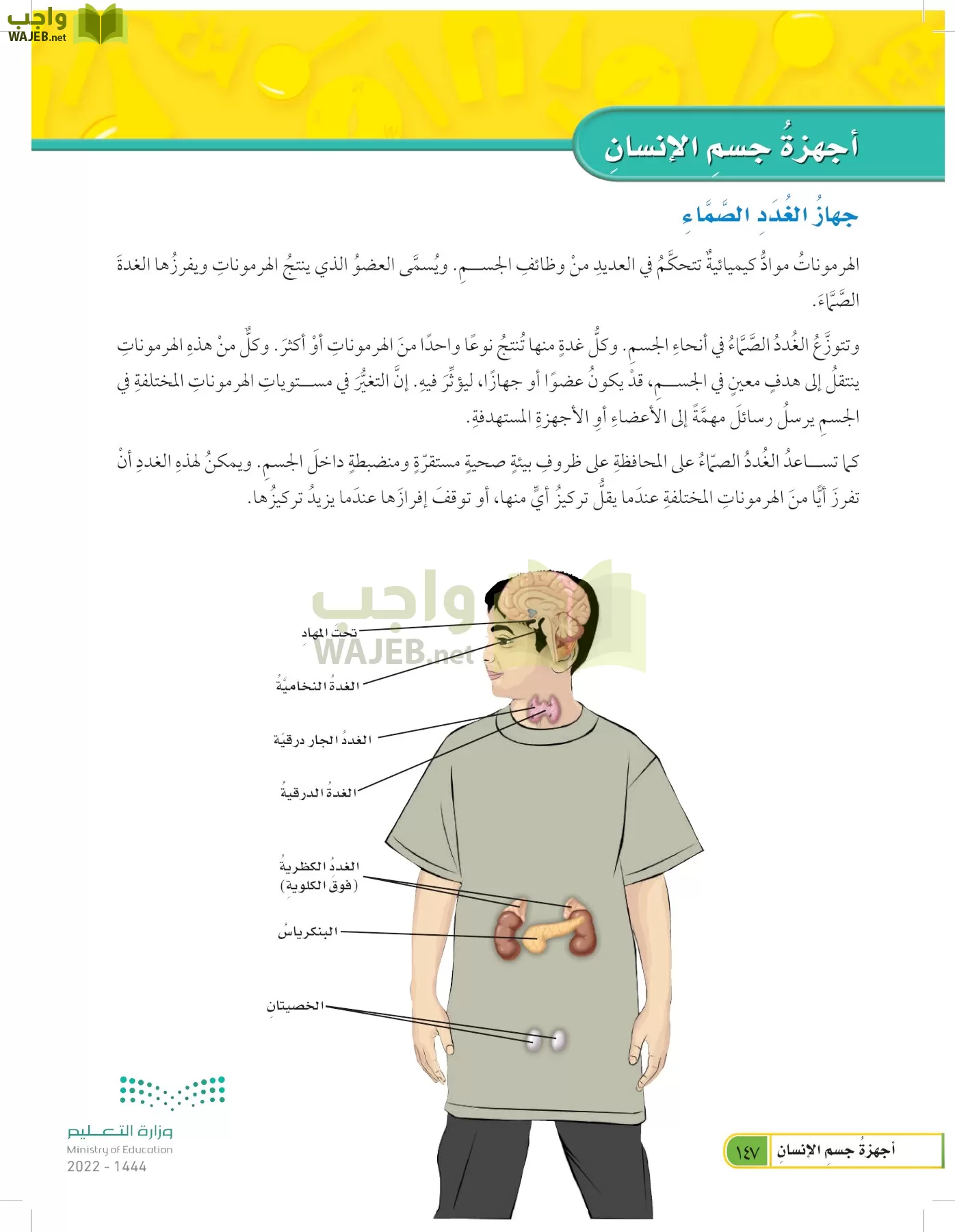 العلوم page-146