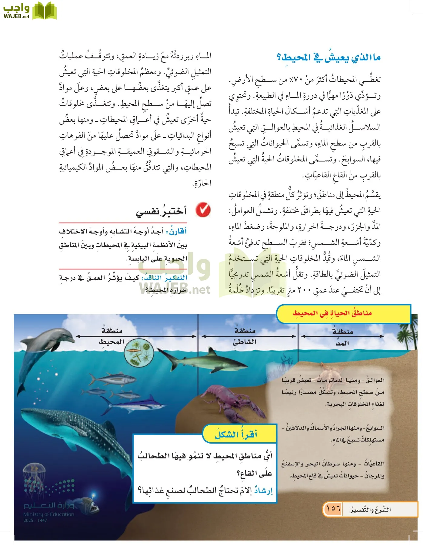 العلوم page-155