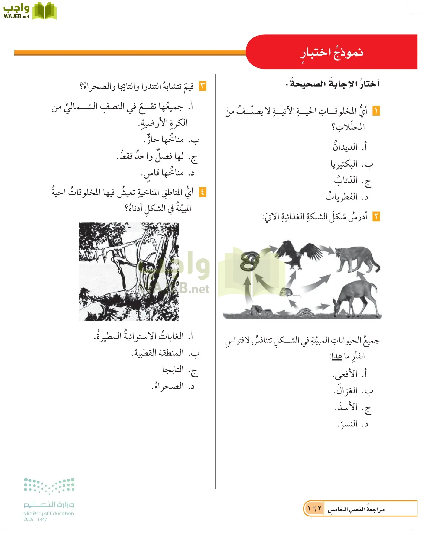 العلوم page-161
