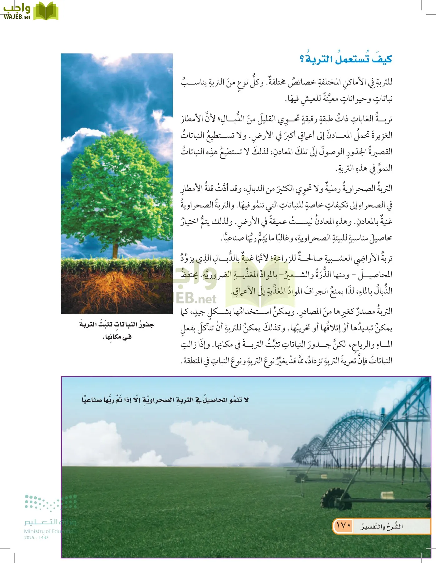 العلوم page-169