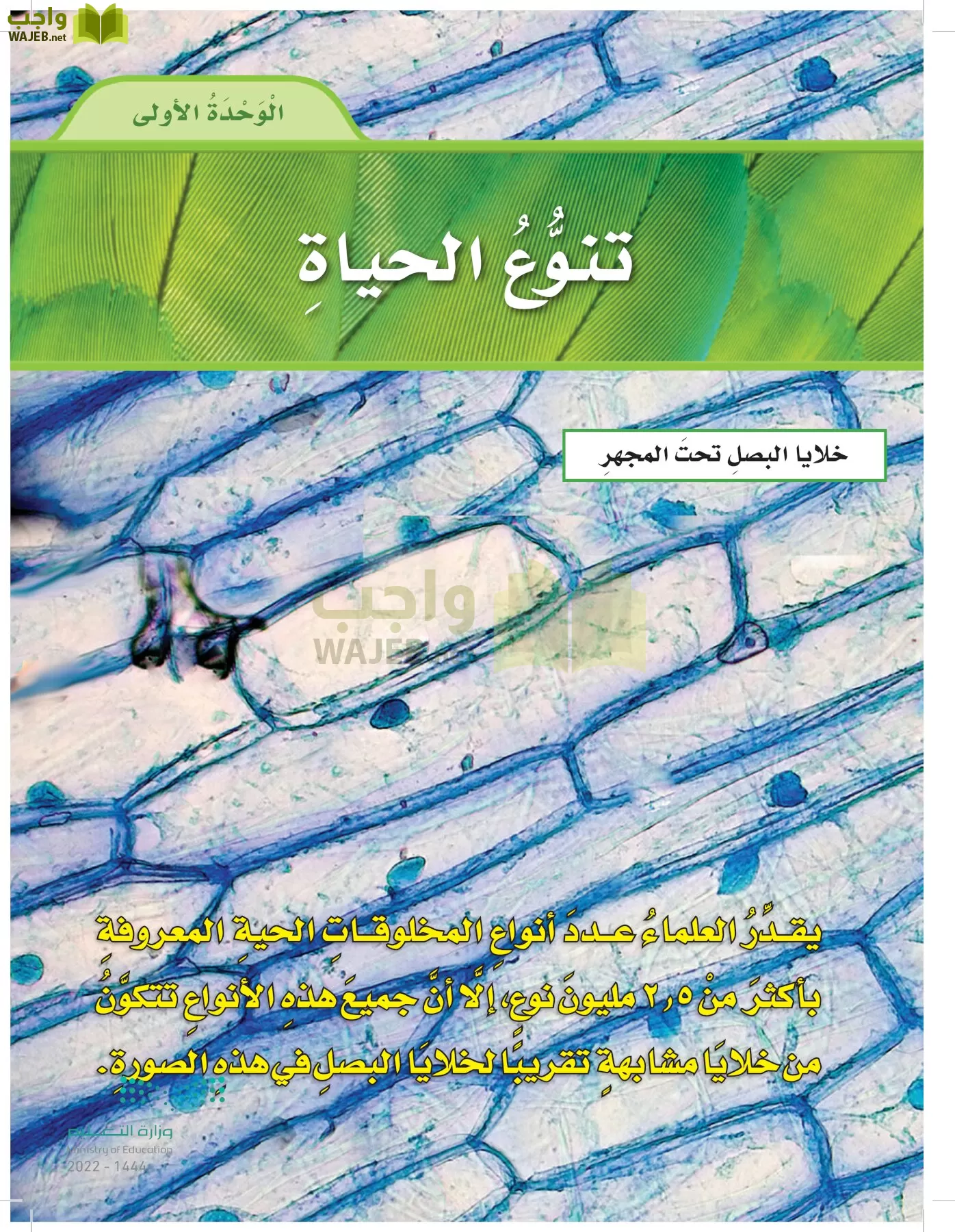 العلوم page-18