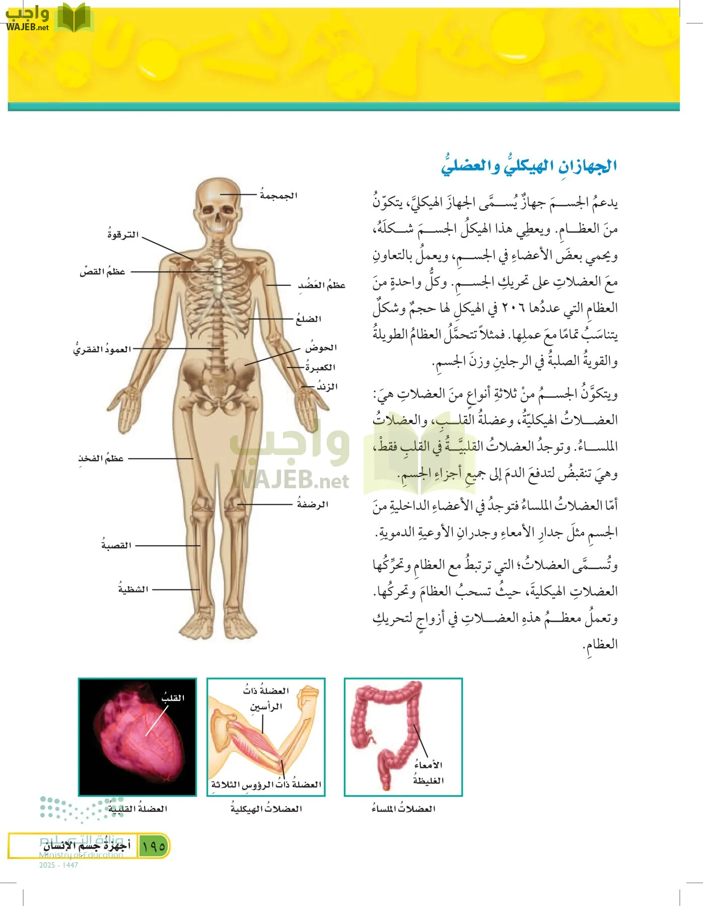 العلوم page-194