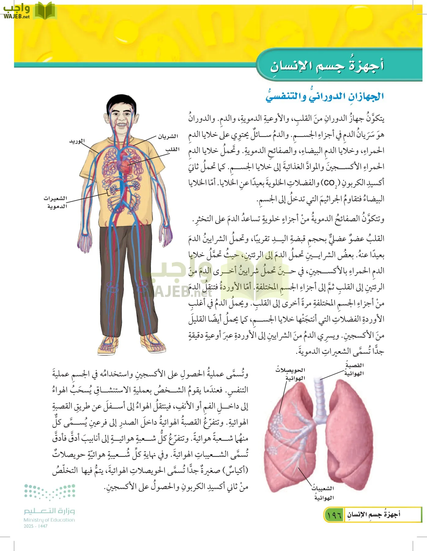العلوم page-195