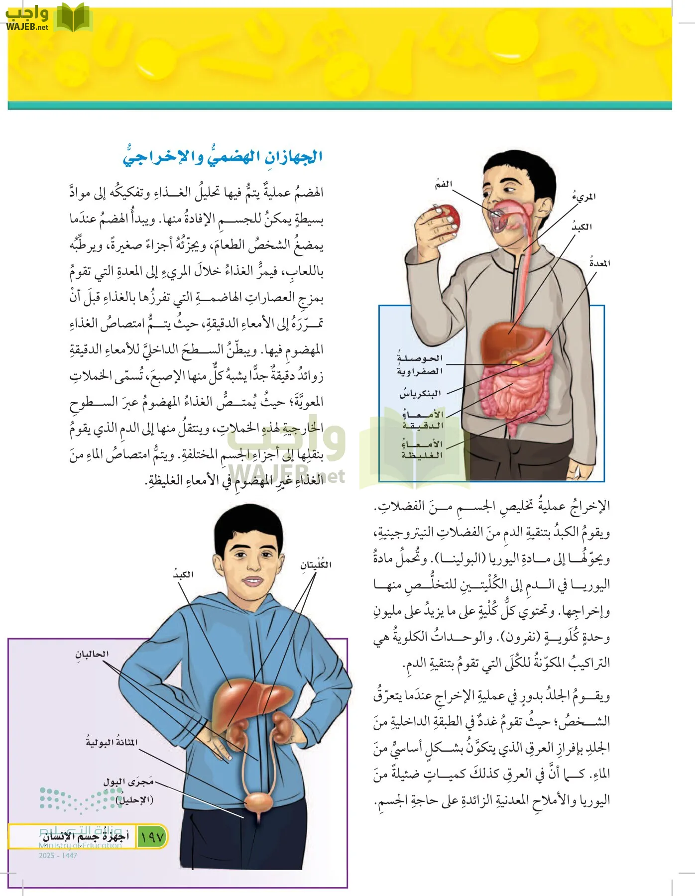 العلوم page-196