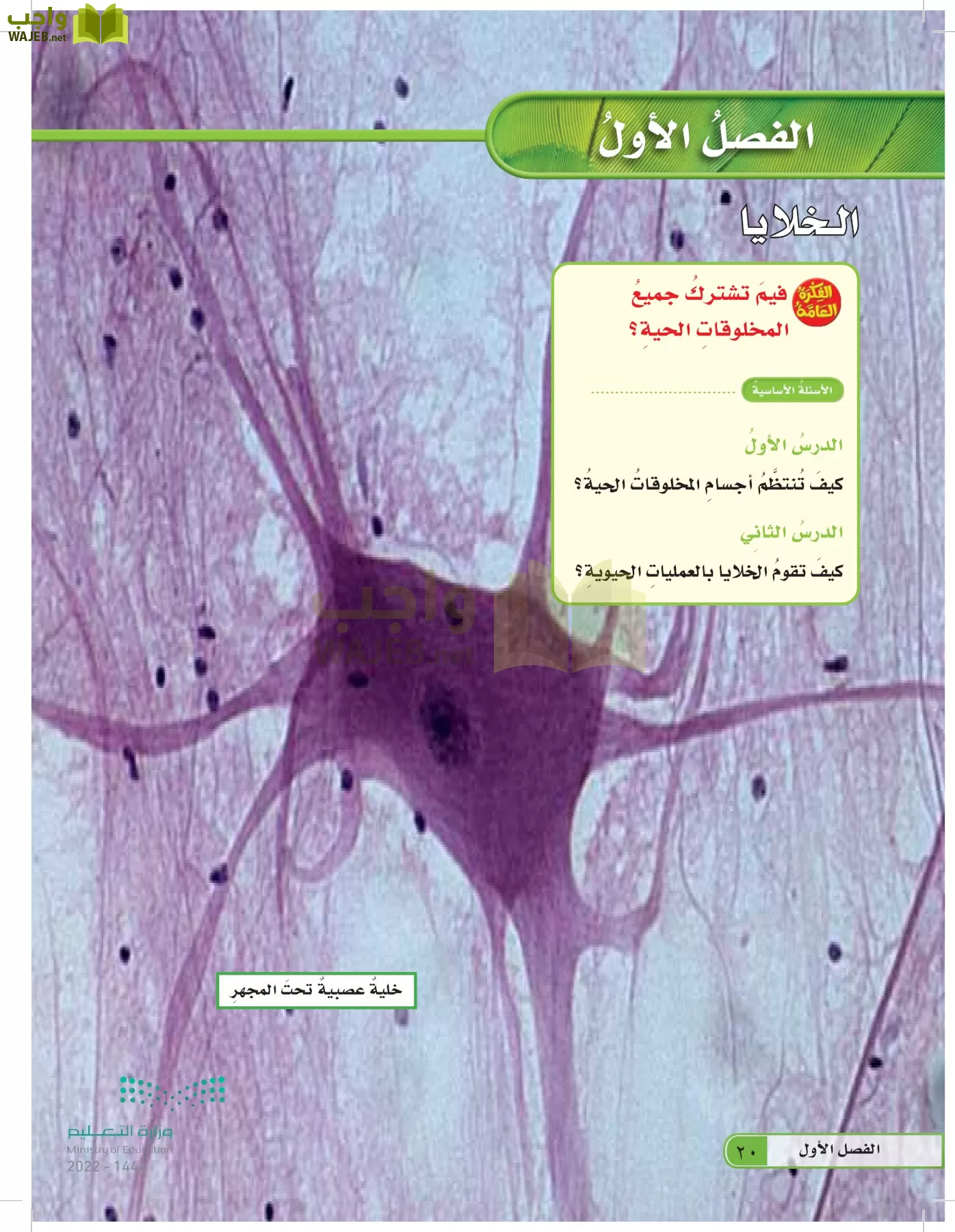 العلوم page-19