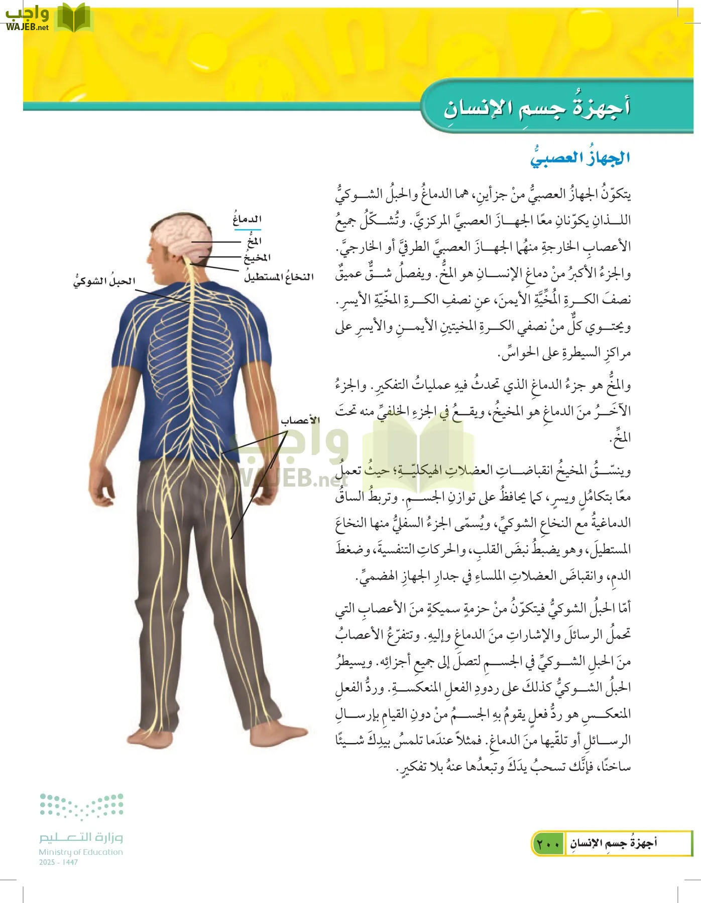 العلوم page-199