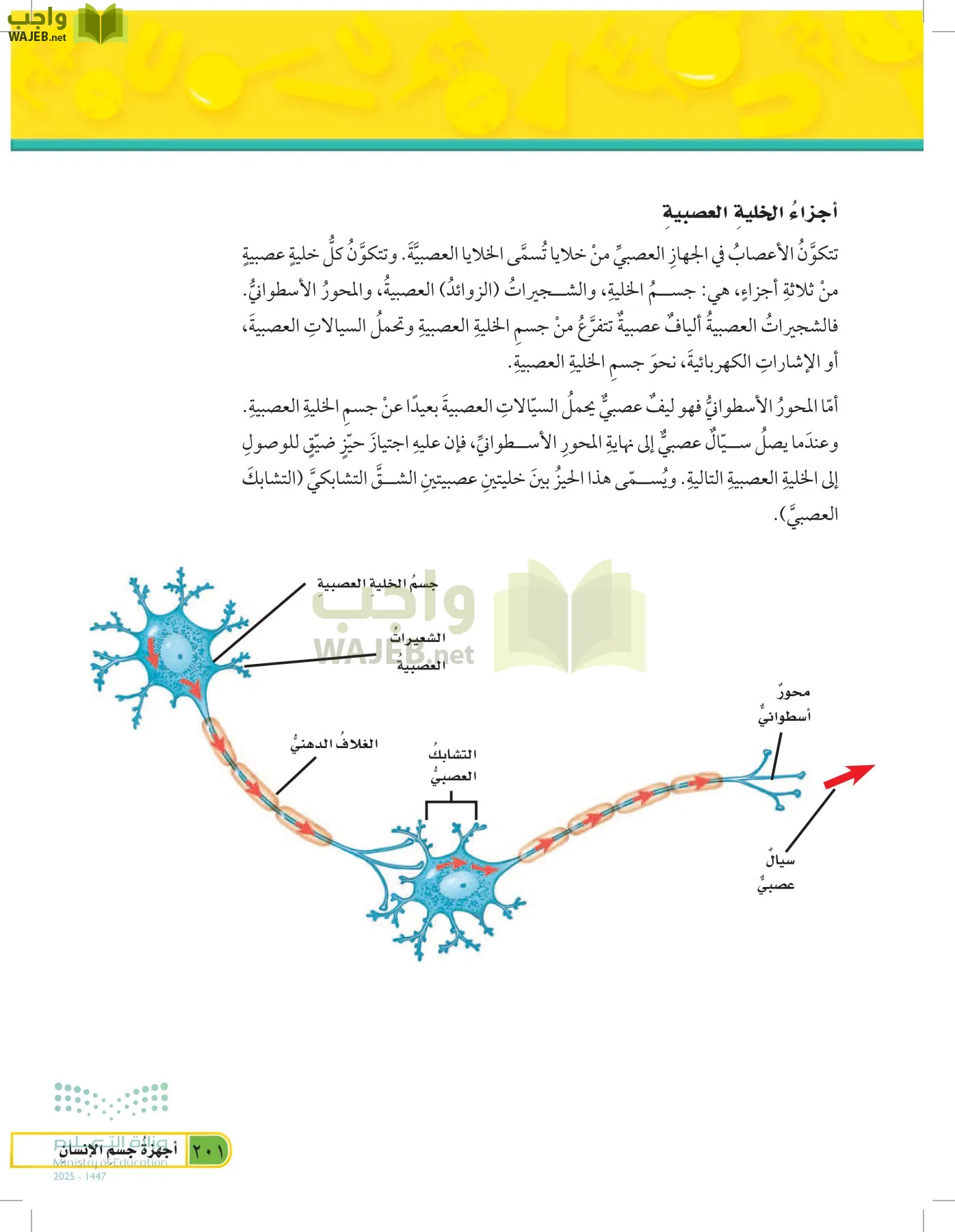 العلوم page-200