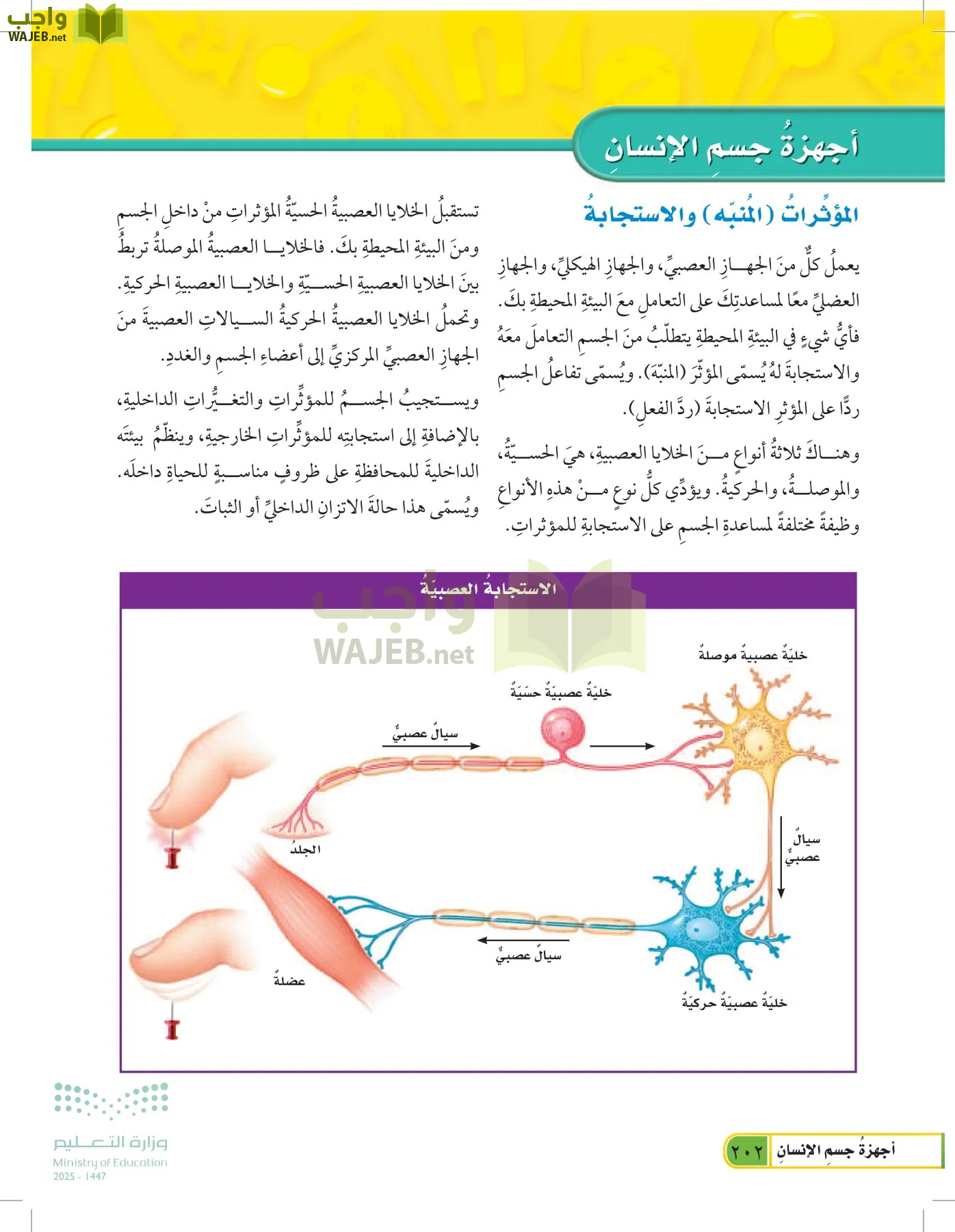 العلوم page-201